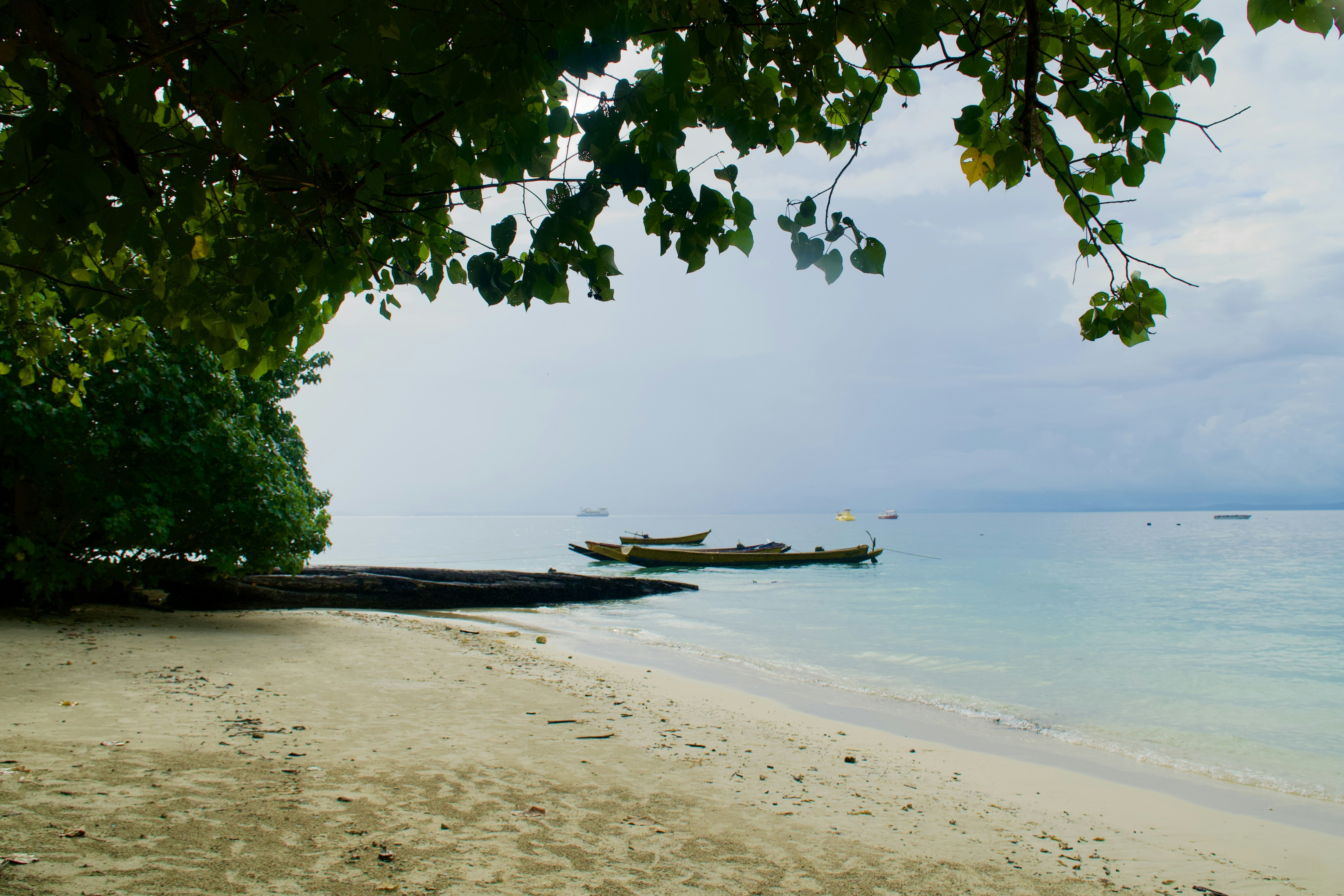 Photo by raghul_ayyasamy