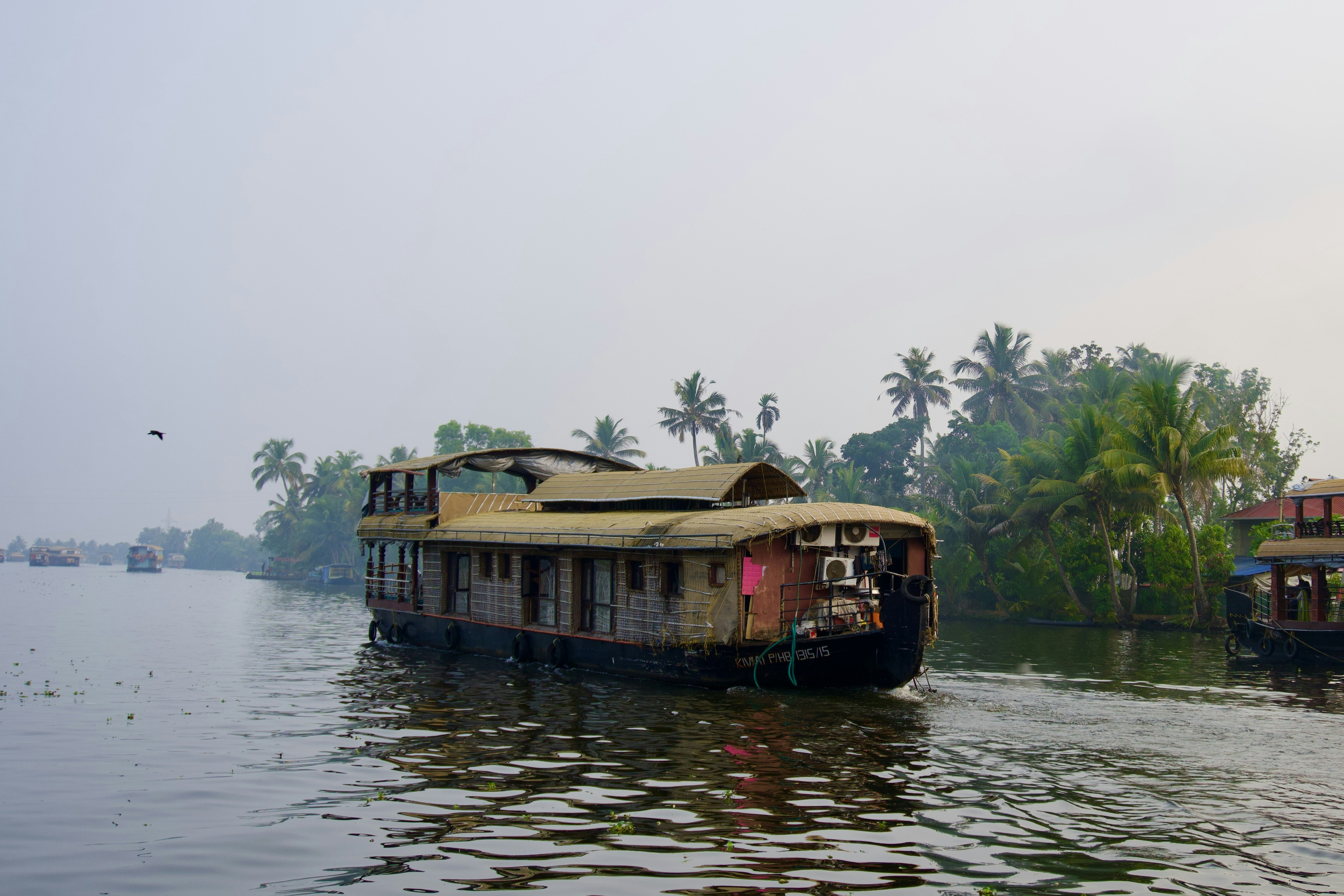 Photo by raghul_ayyasamy