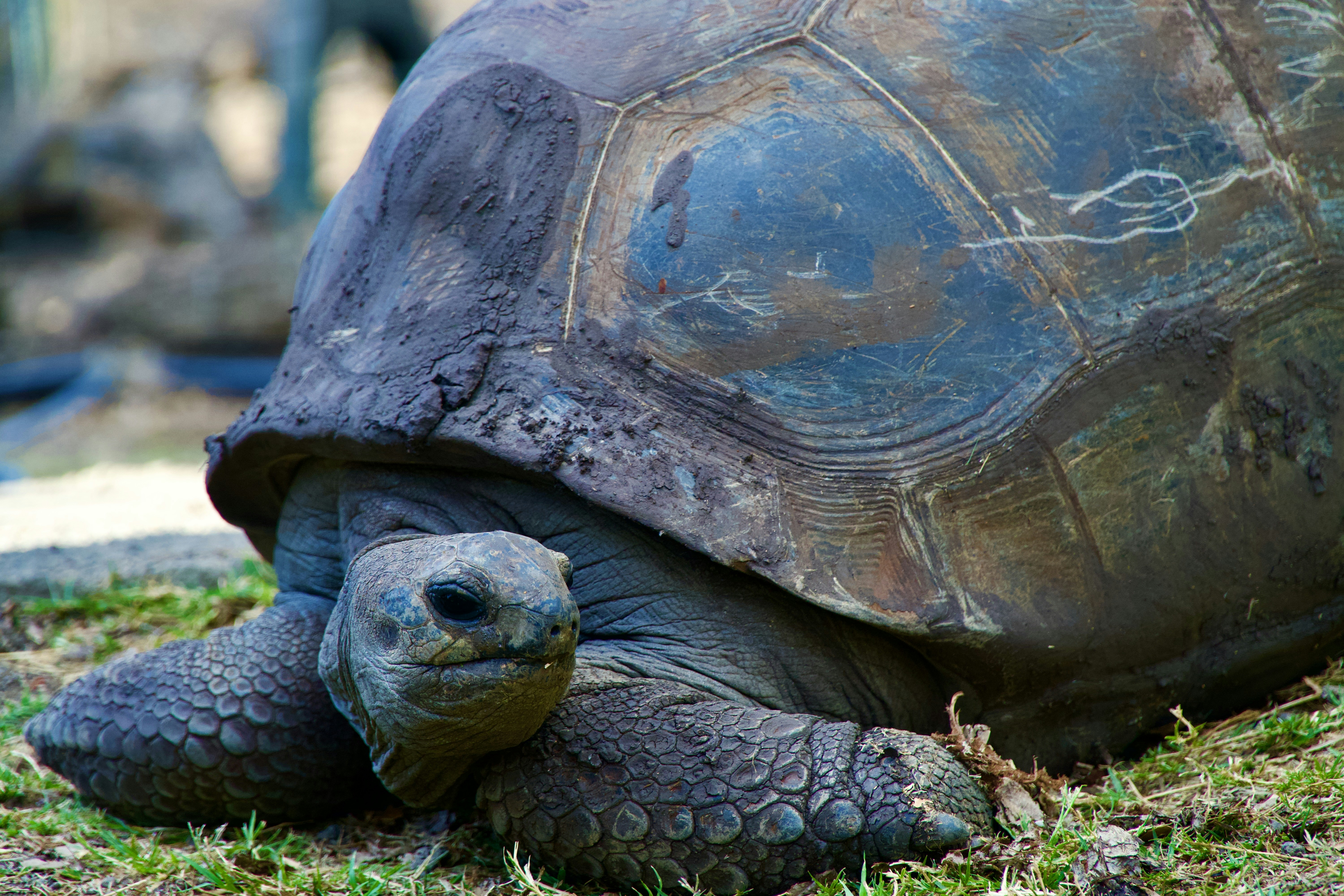 Photo by raghul_ayyasamy