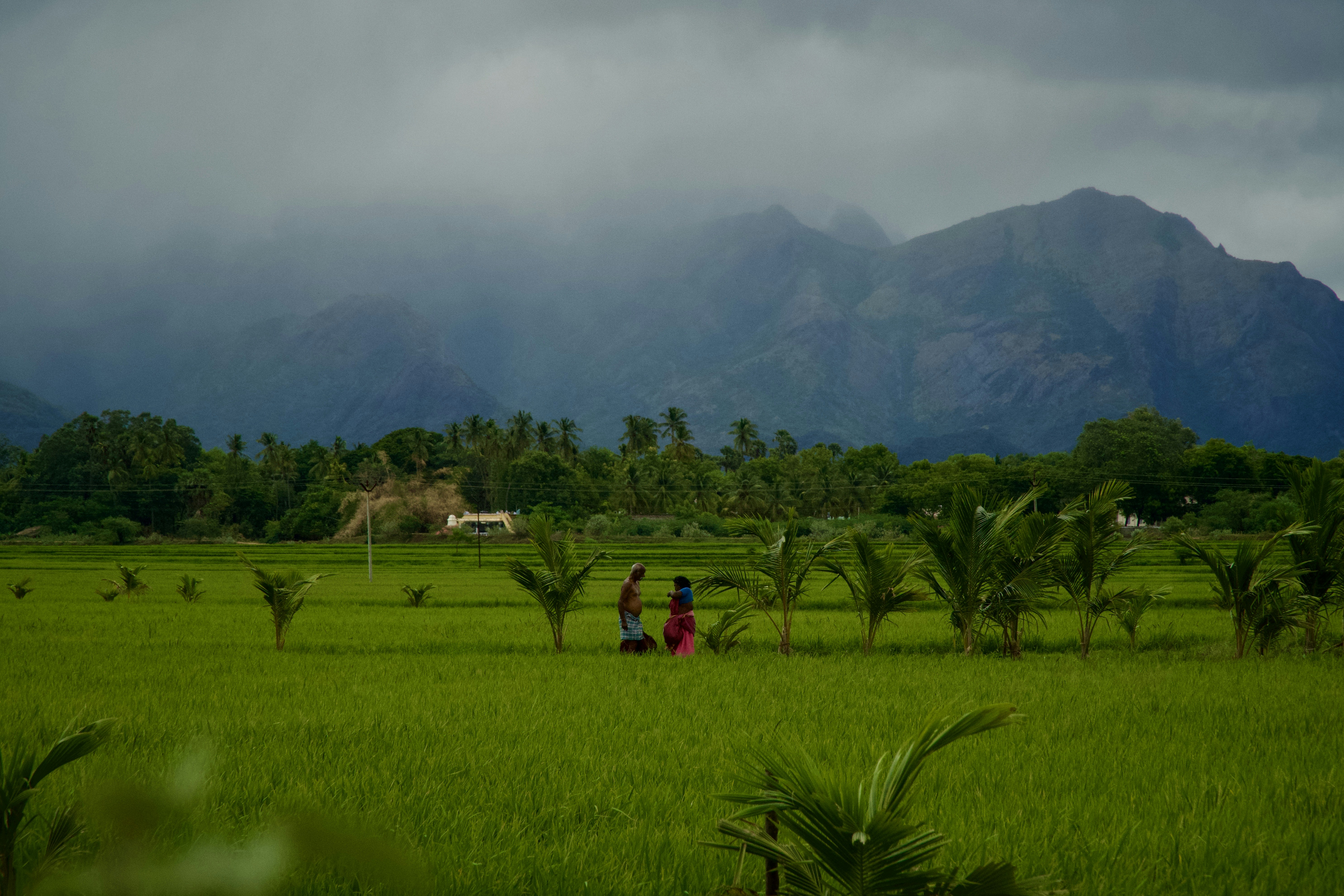 Photo by raghul_ayyasamy