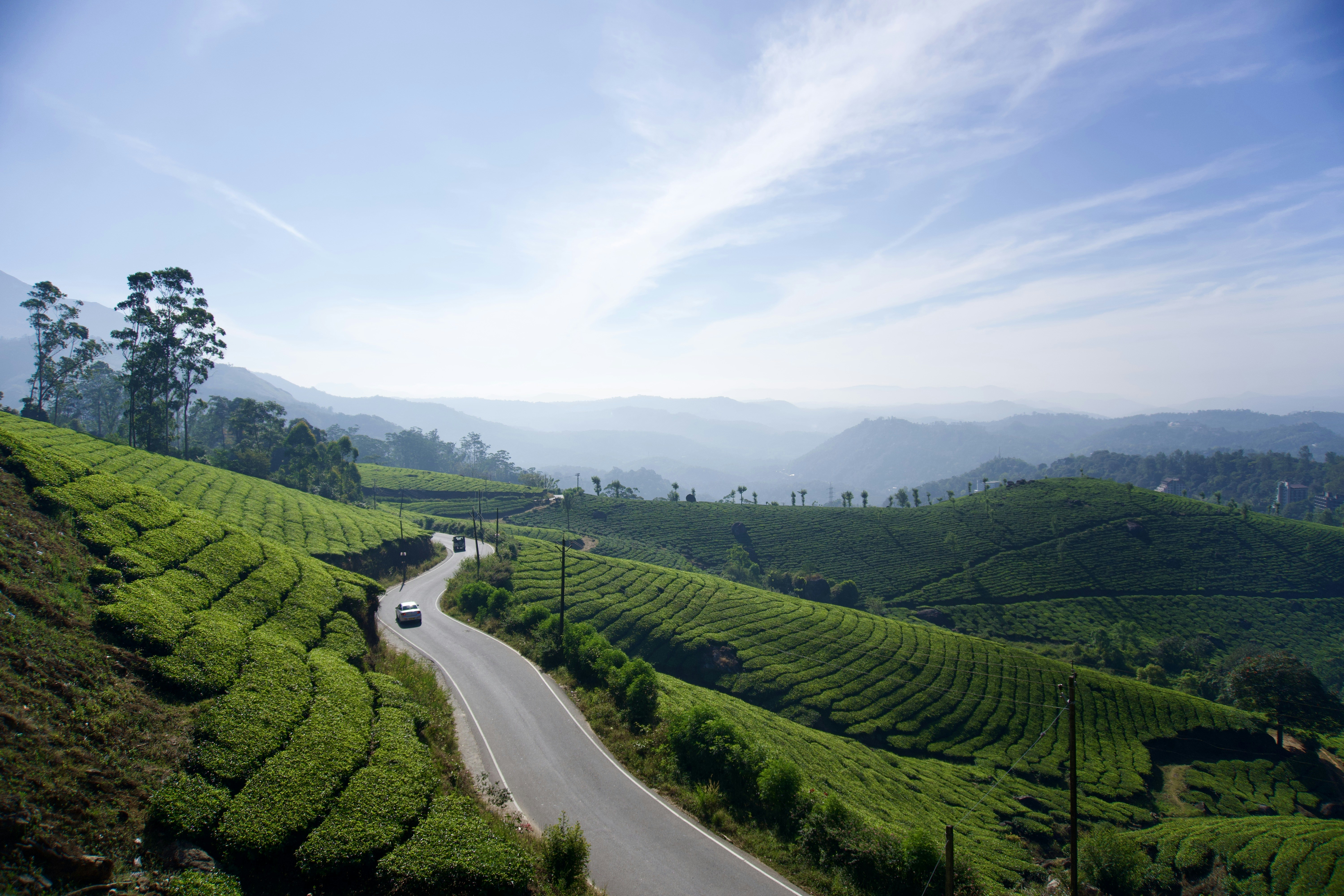 Photo by raghul_ayyasamy