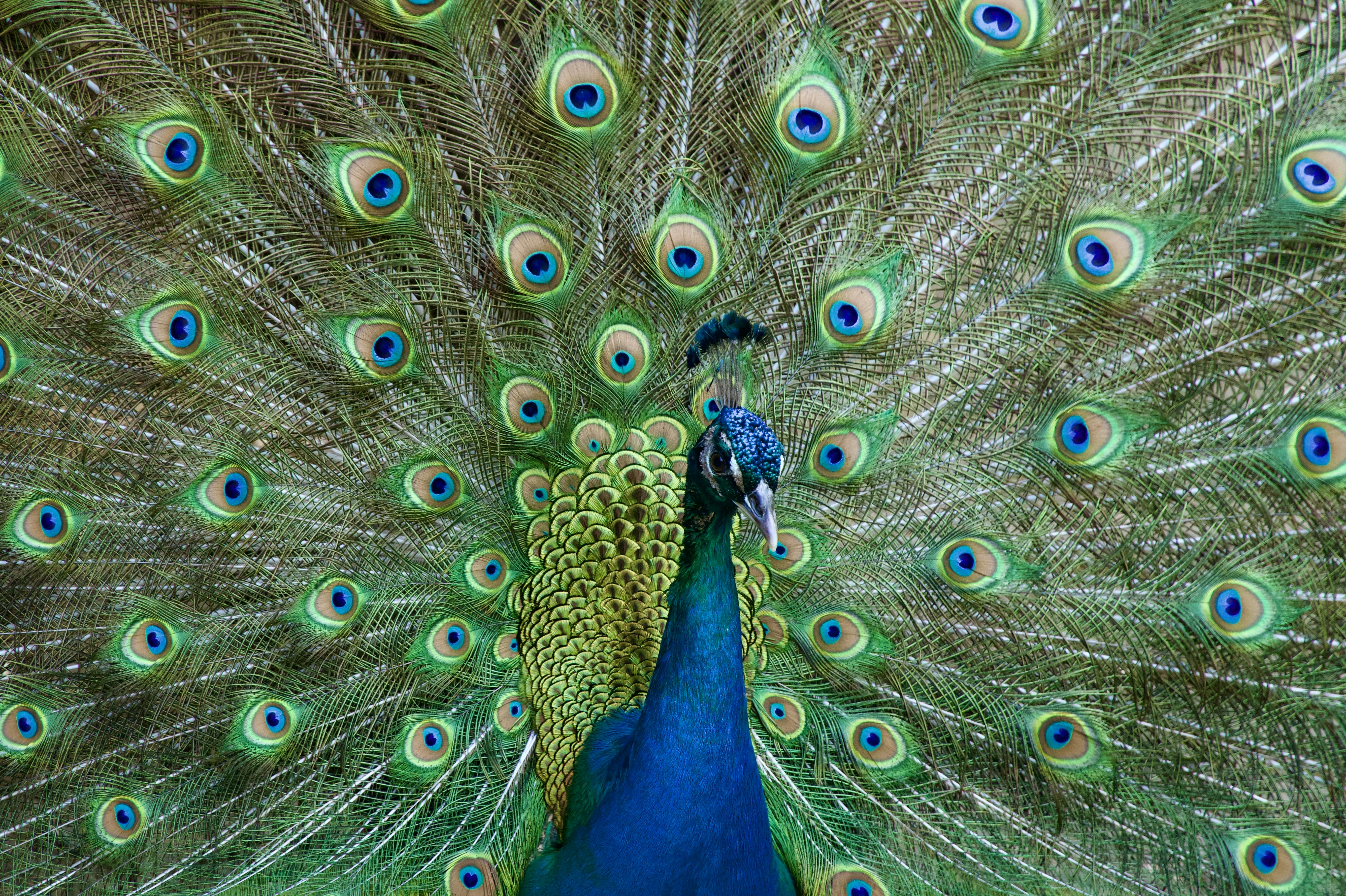 Photo by raghul_ayyasamy