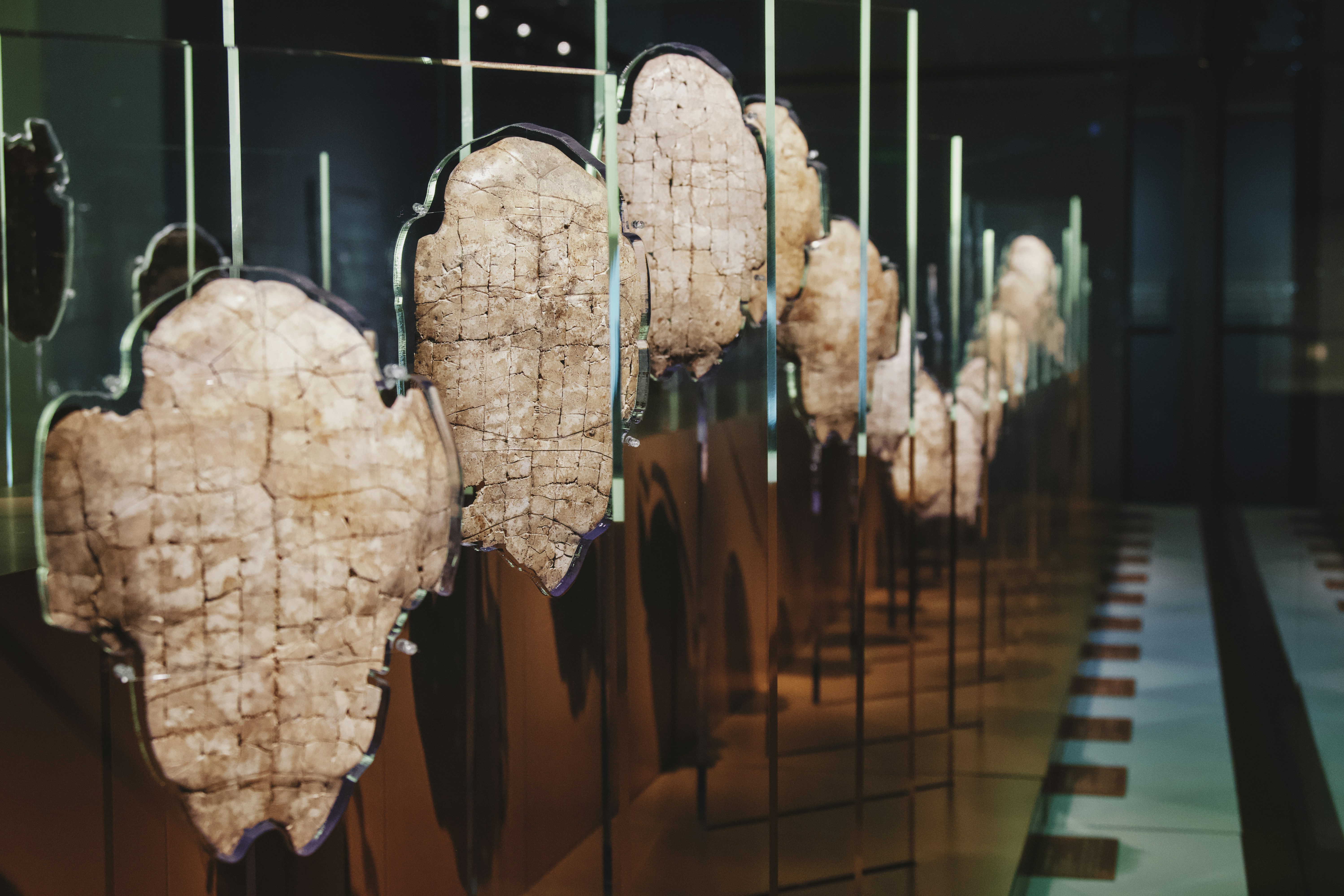 archeology technology