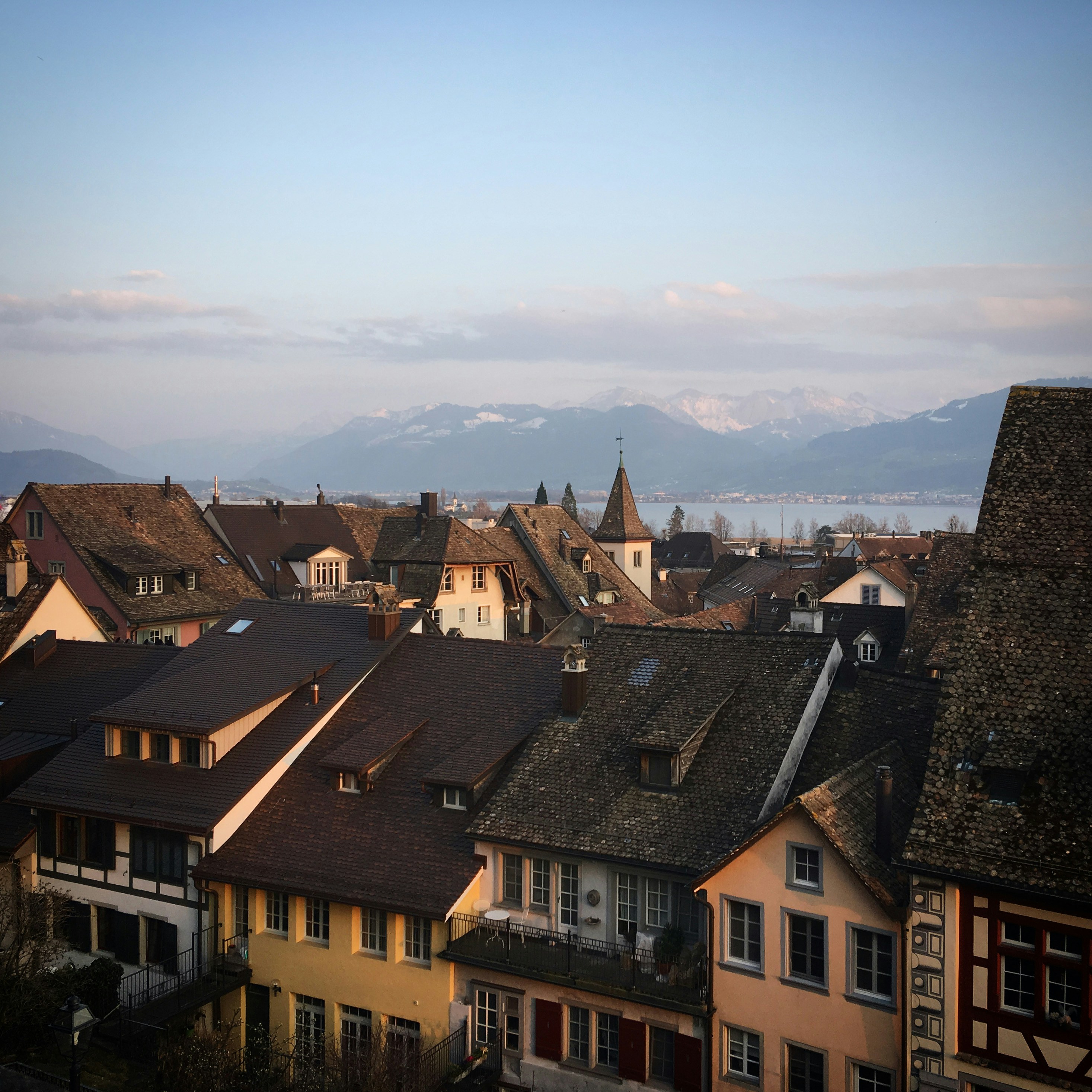 Photo by sergei_gussev