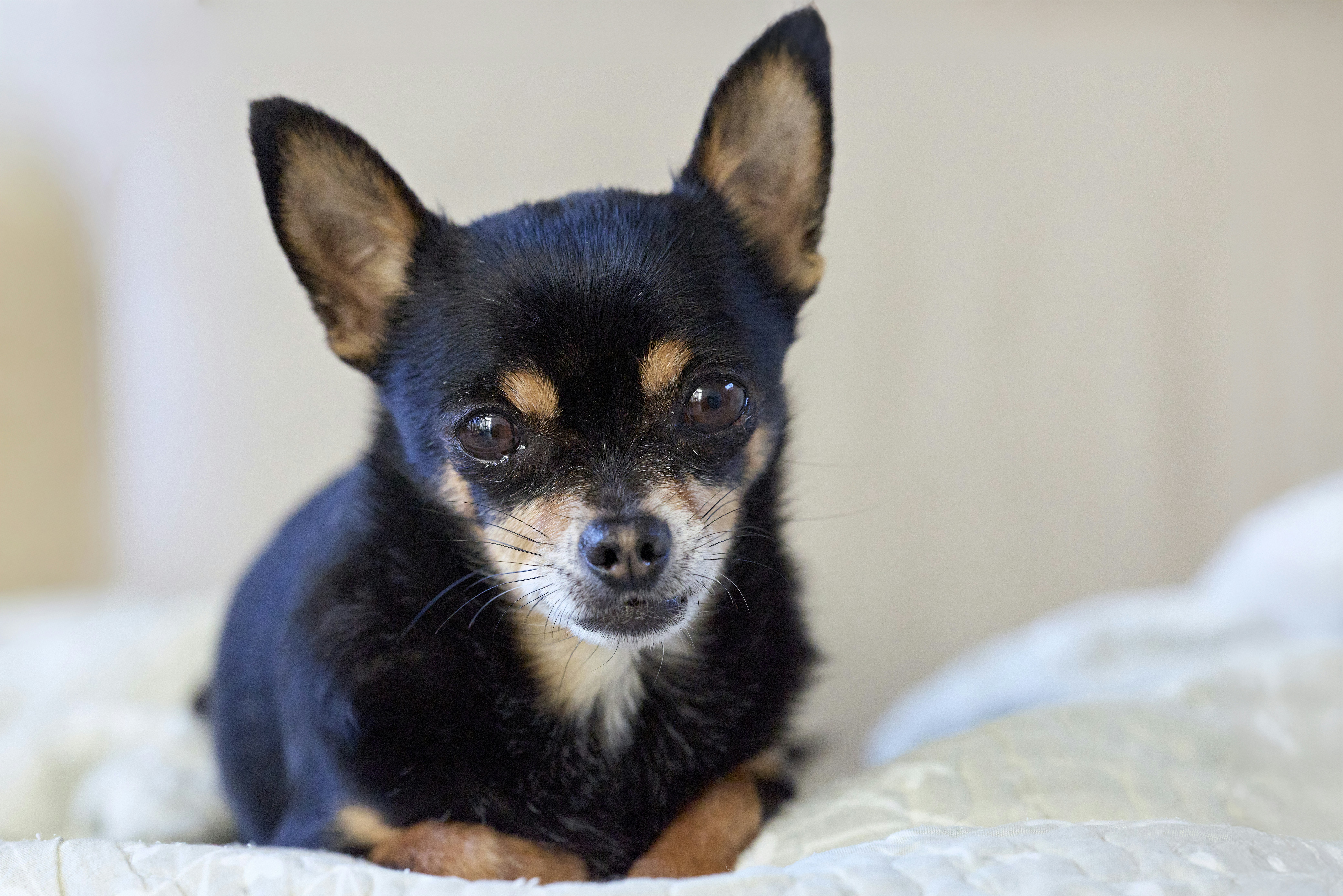 Photo by erwinbosman