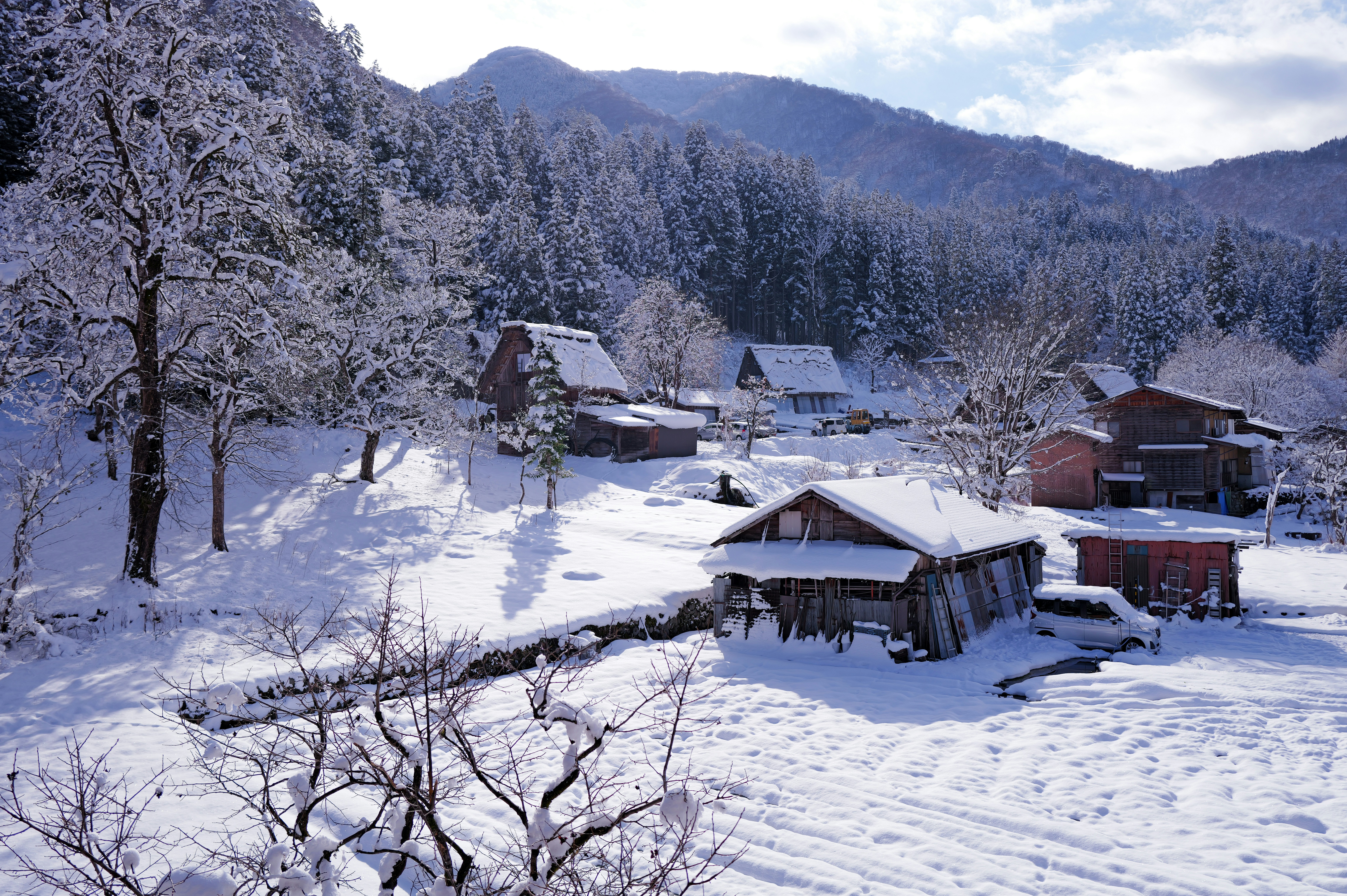 雪に覆われた村は、雪に覆われた木々や丘にひっそりと佇んでいる。