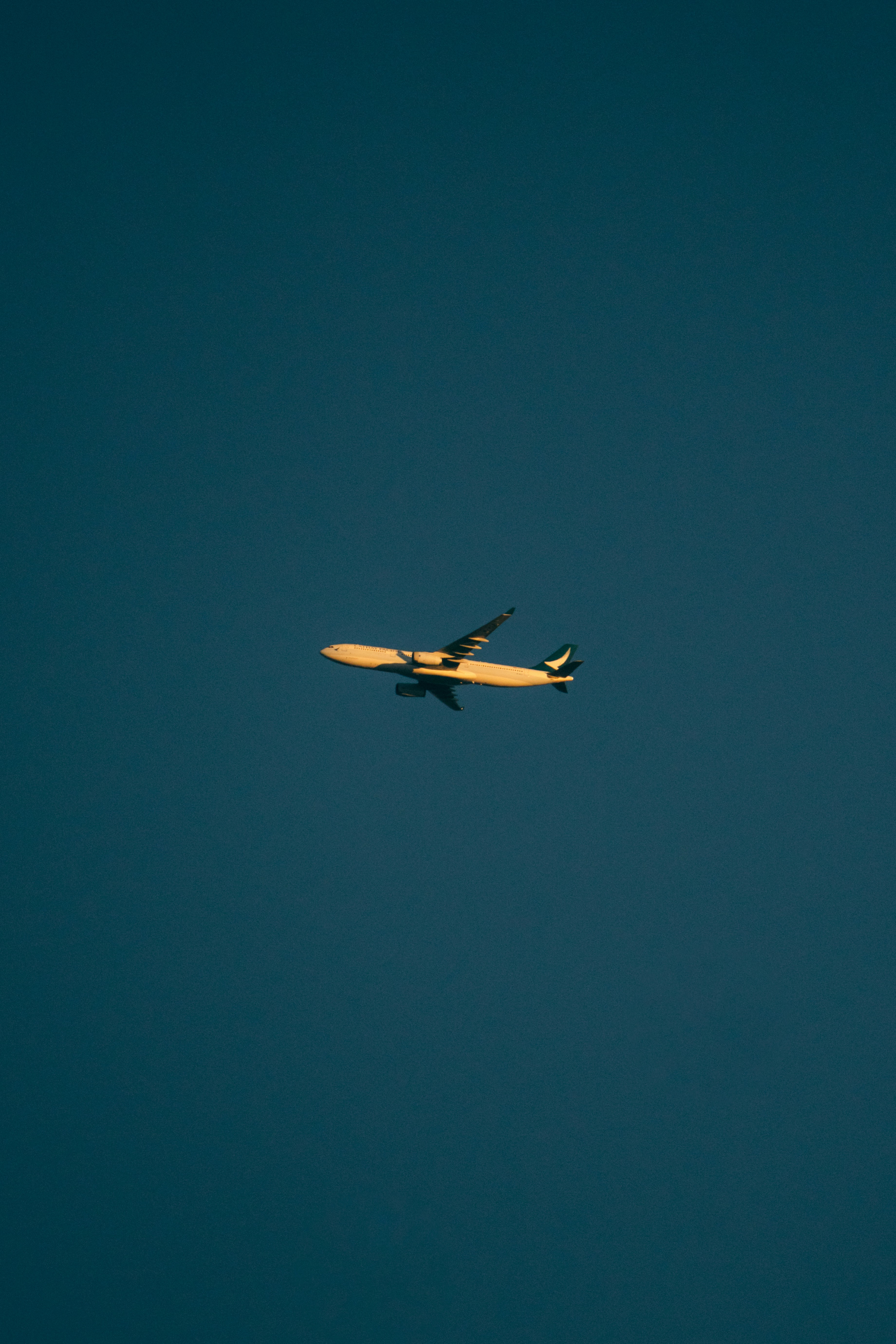 Photo by unclpenguin