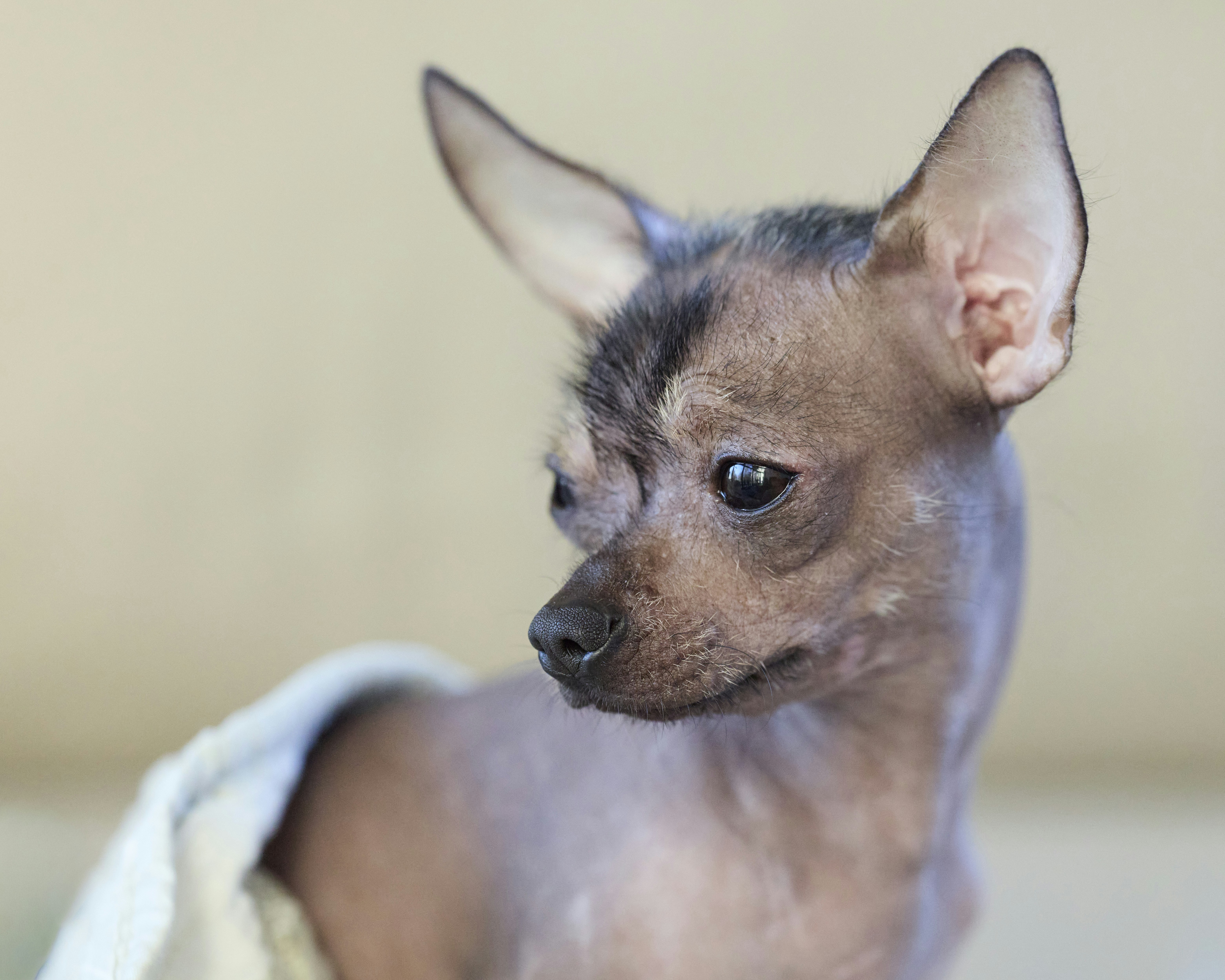 Photo by erwinbosman