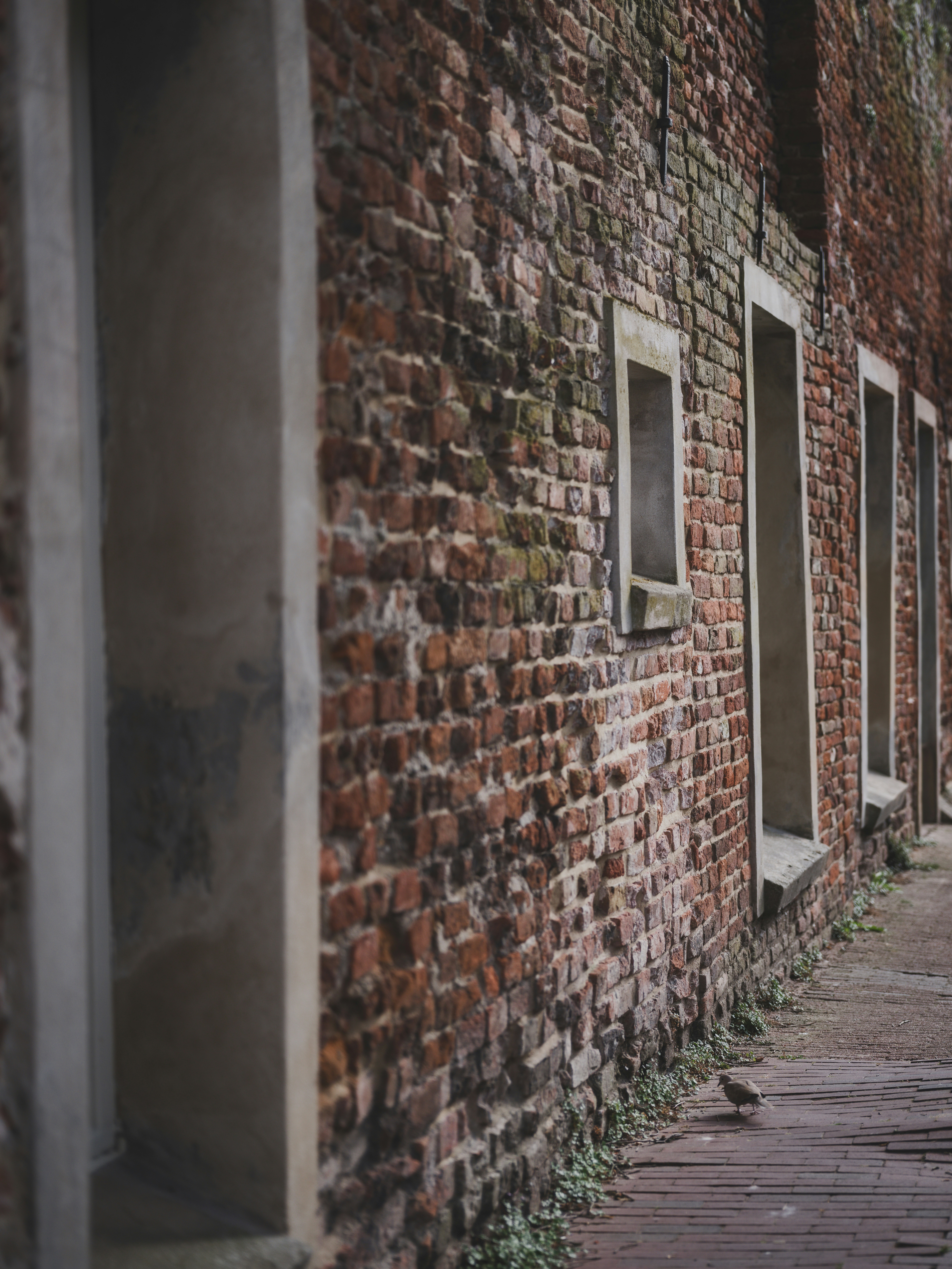 Photo by haberdoedas