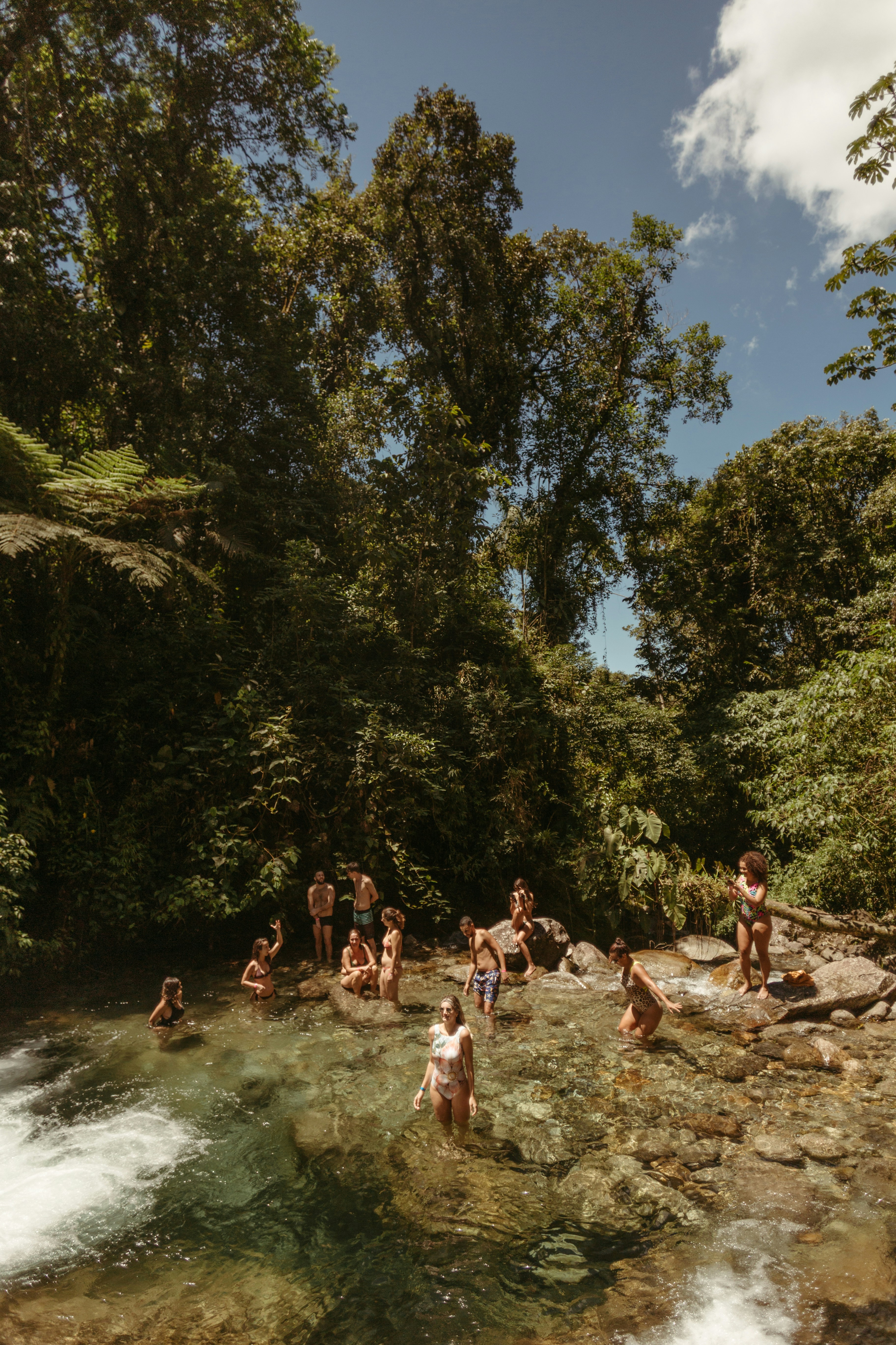 People swimming in a clear river surrounded by lush forest.