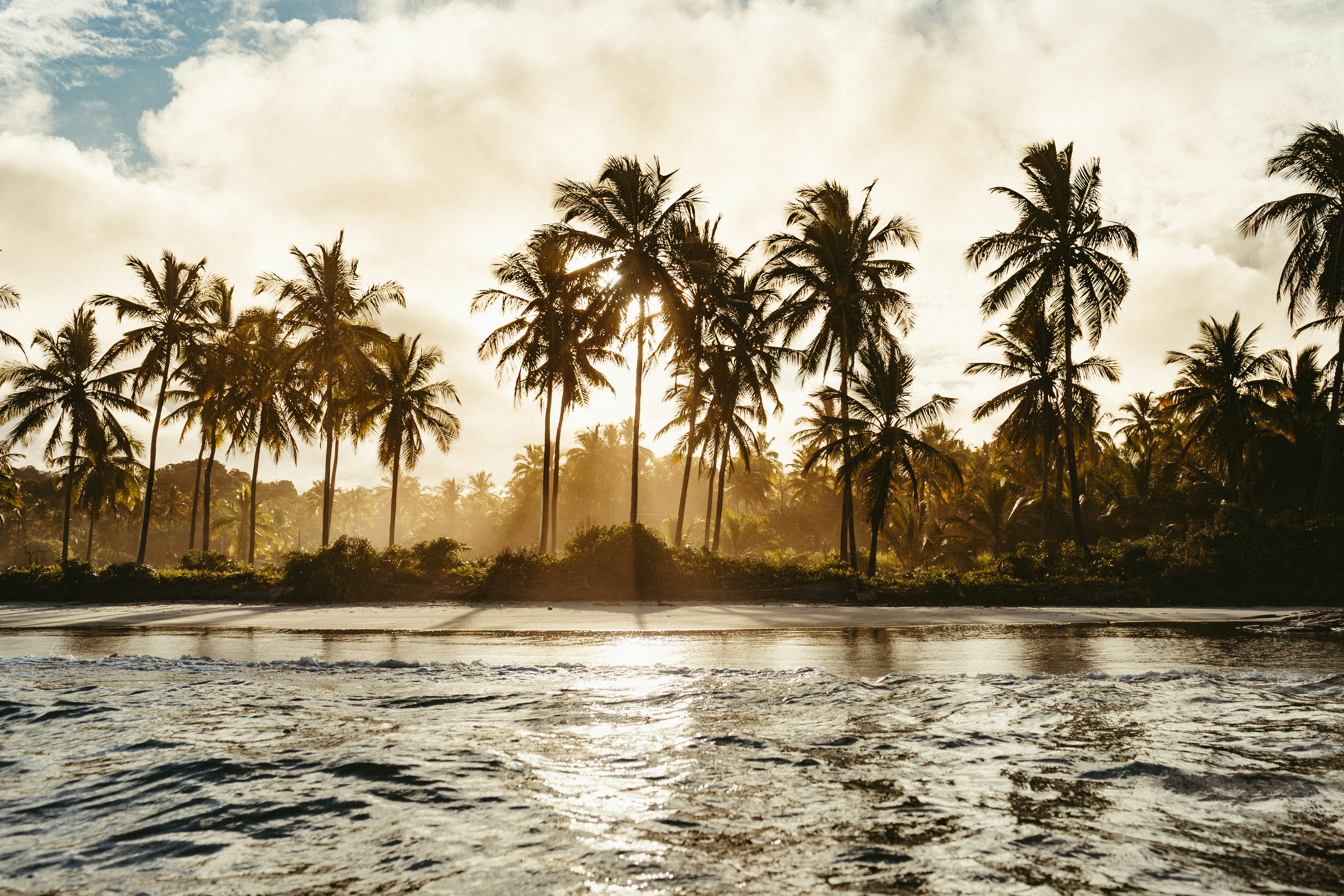 Palm trees silhouetted against a golden sky at sunset.