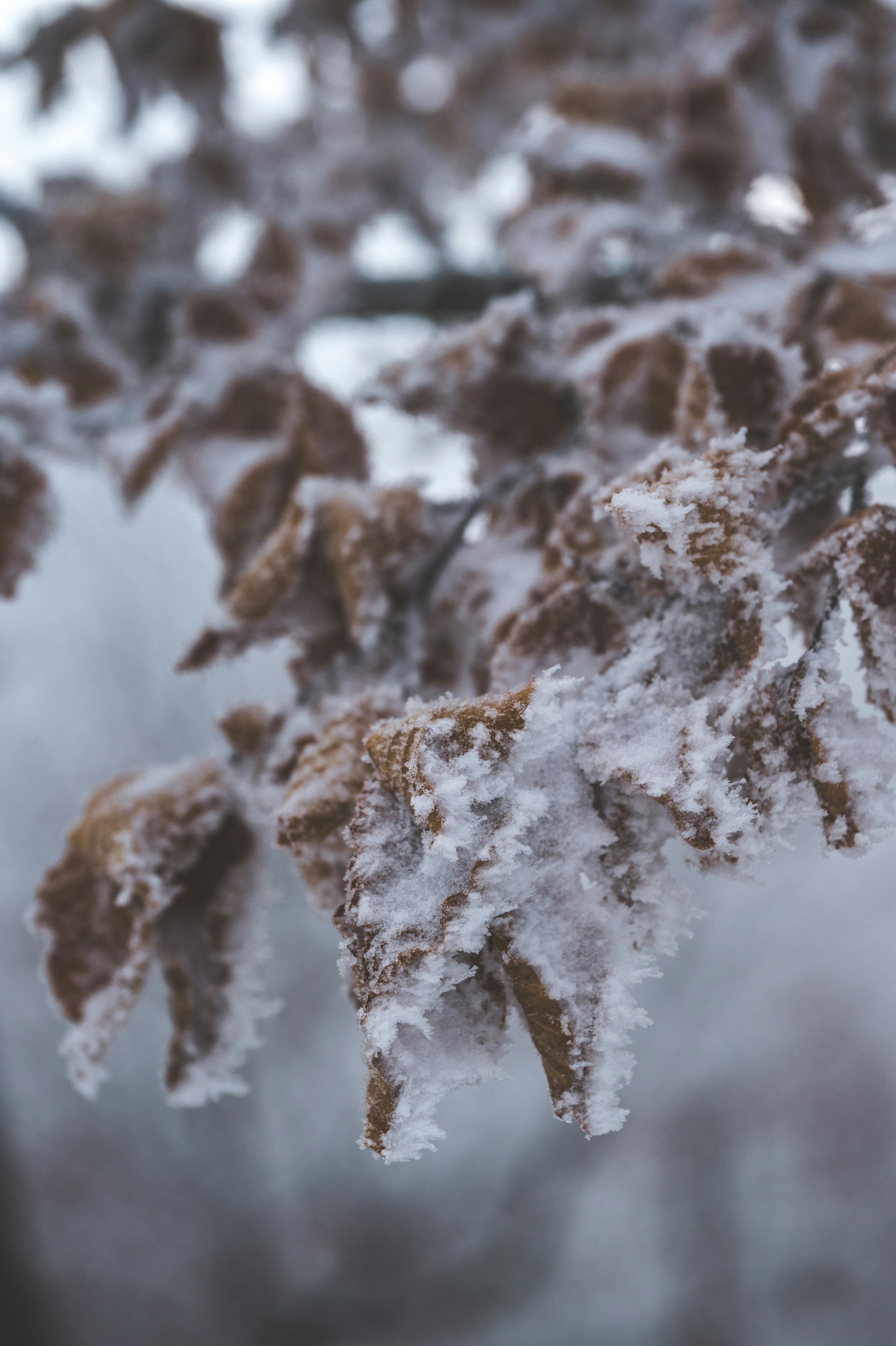 Photo by alexandra_p_d