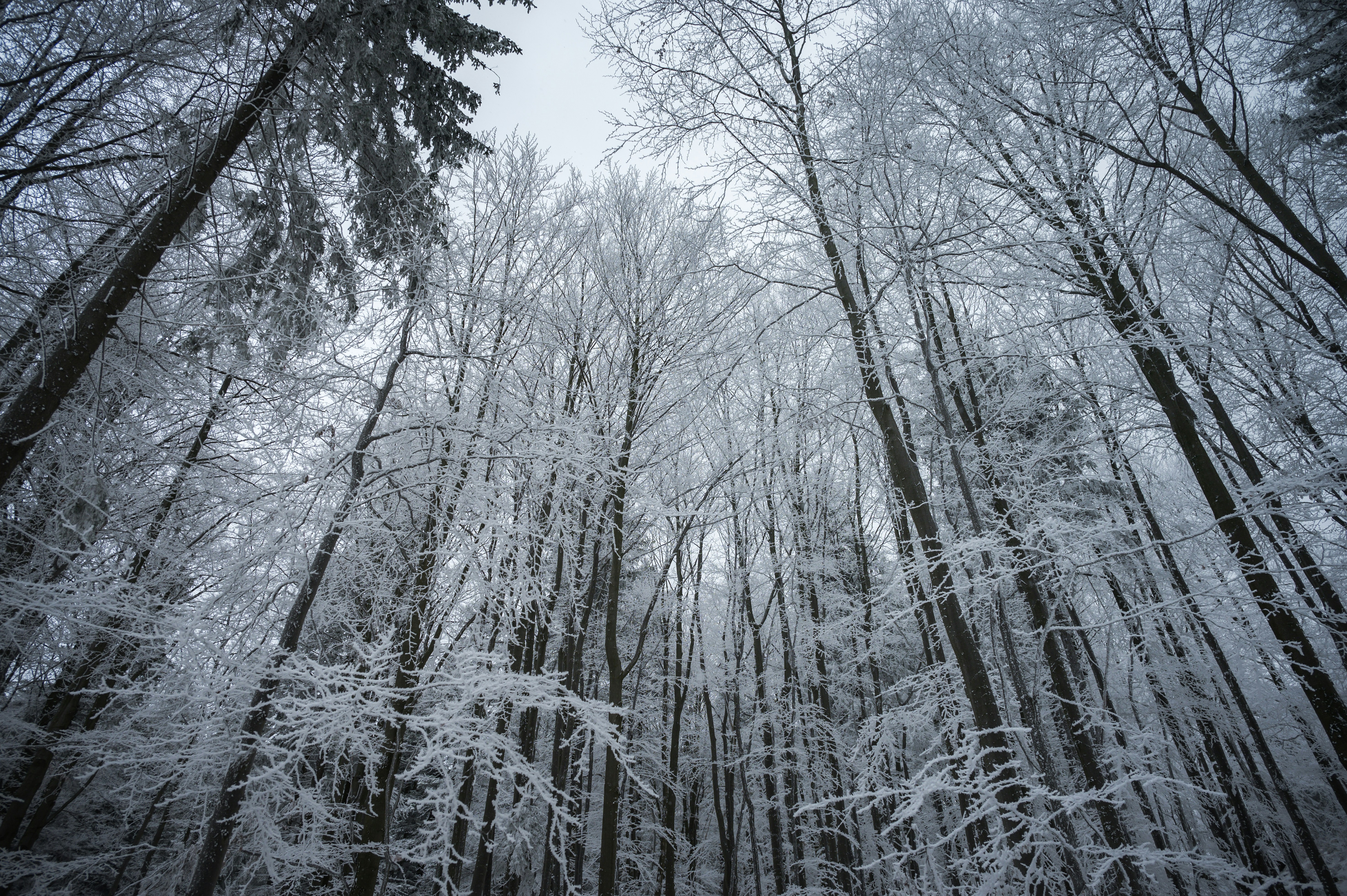 Photo by alexandra_p_d