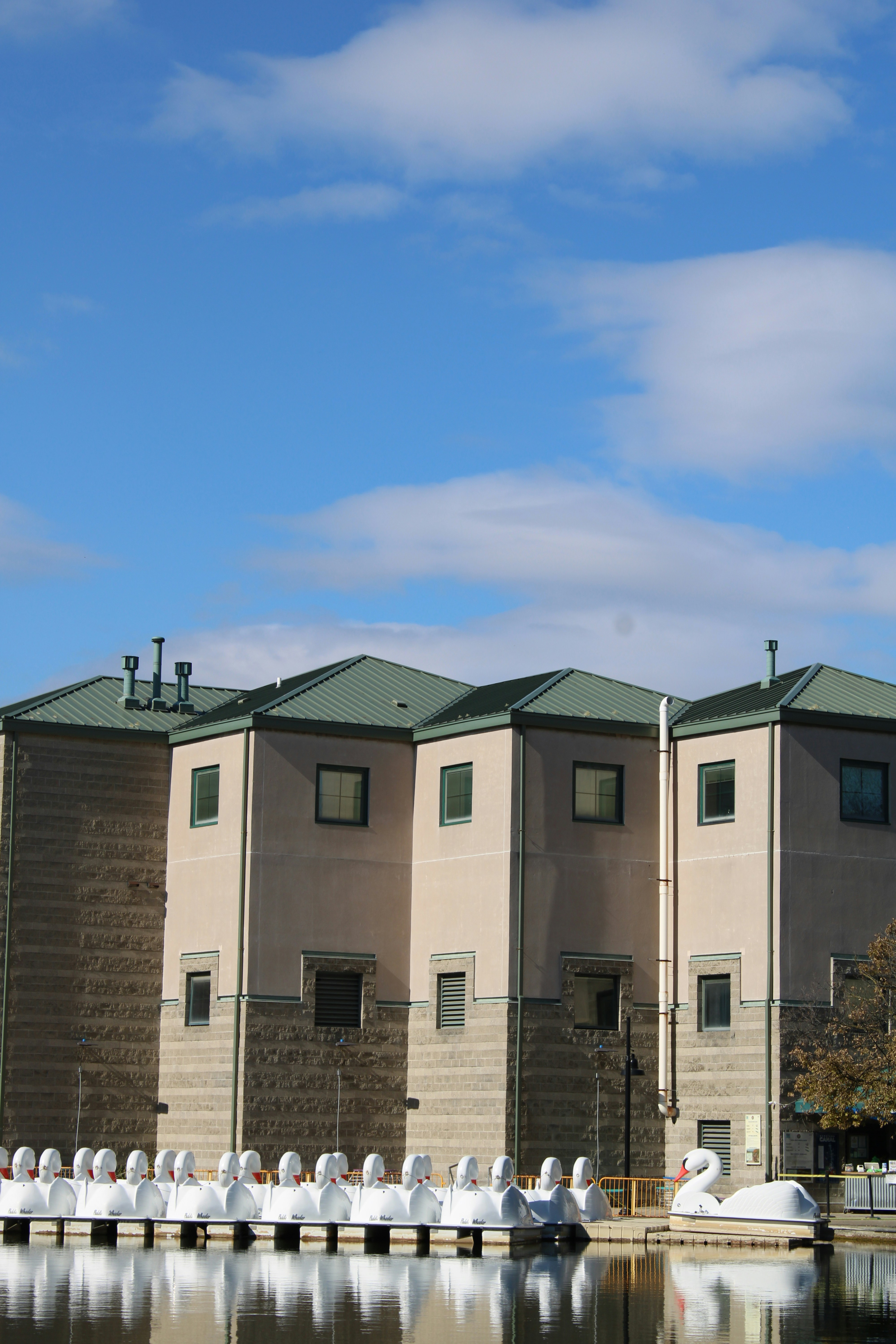 Modern building with swan boats on water