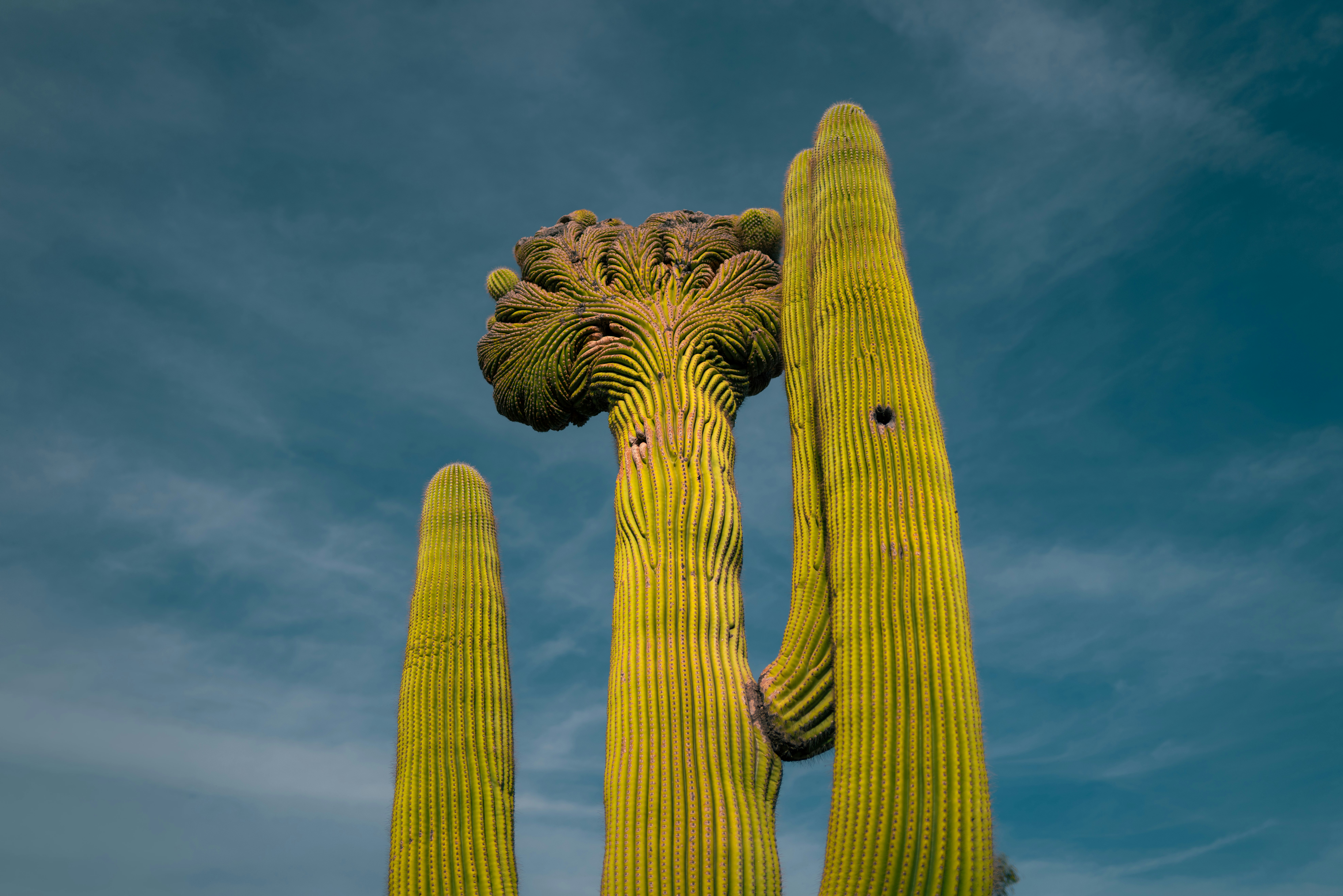 Phoenix United, States