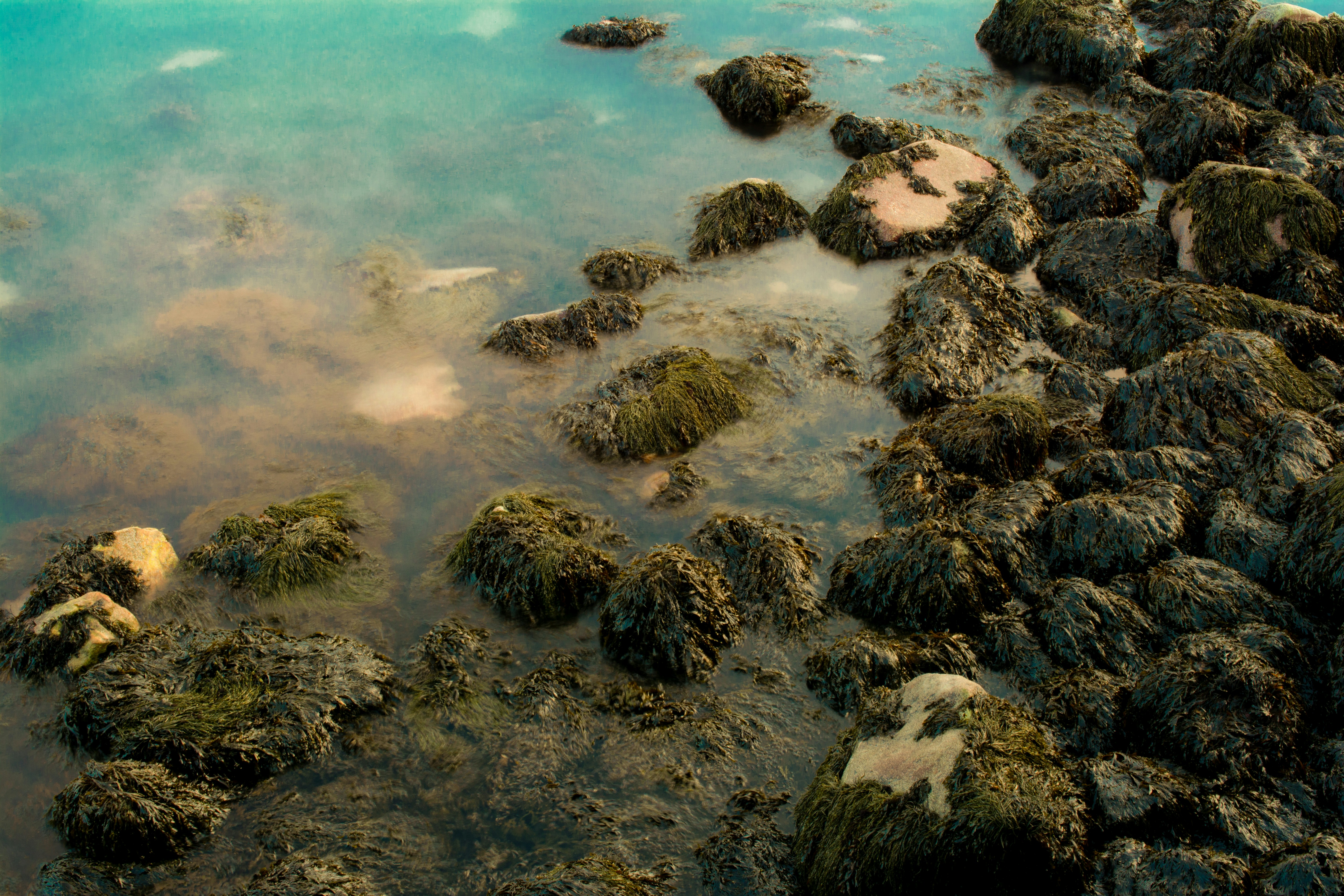 Photo by atelierbyvineeth