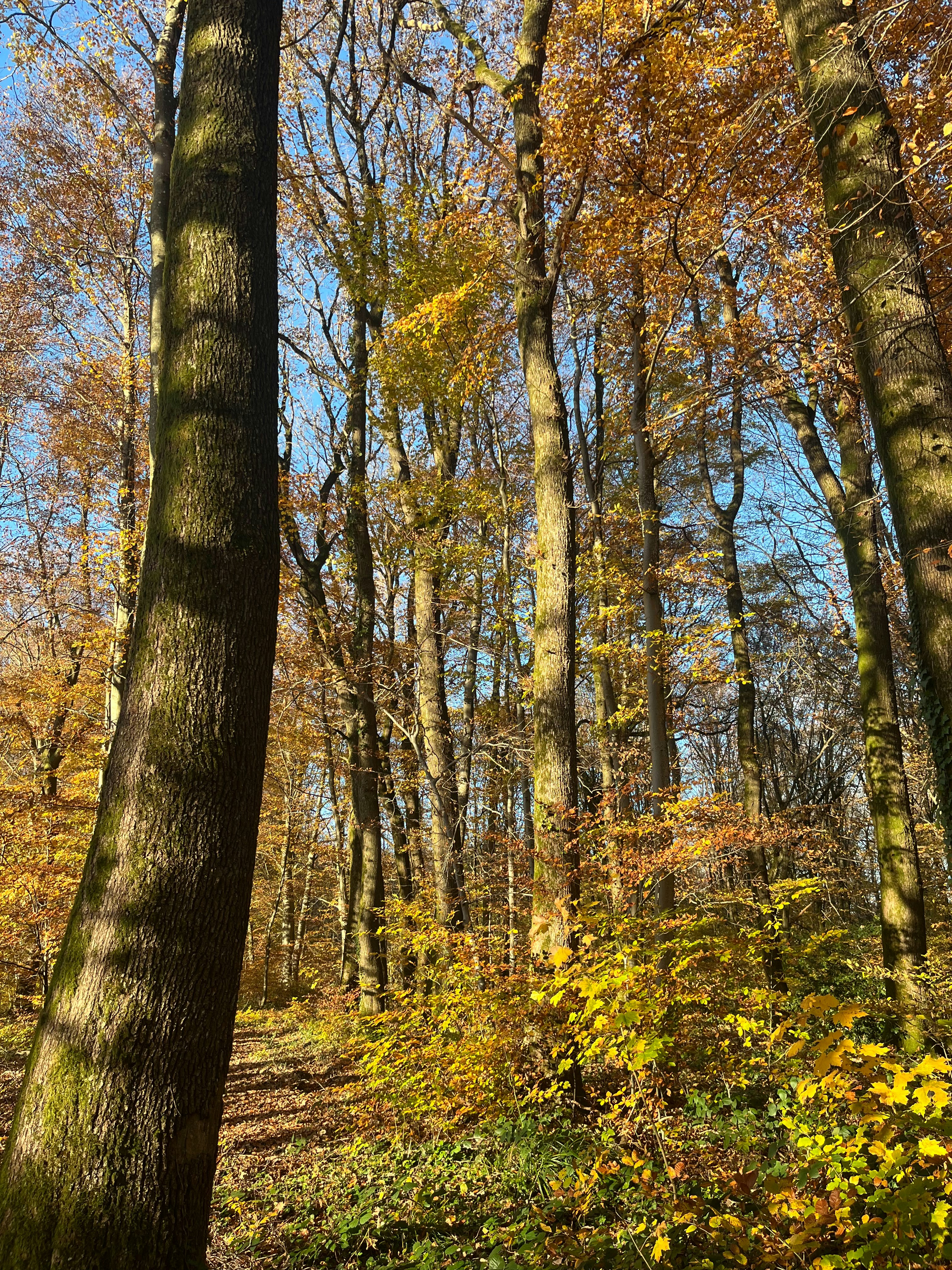 Photo by caraleopold