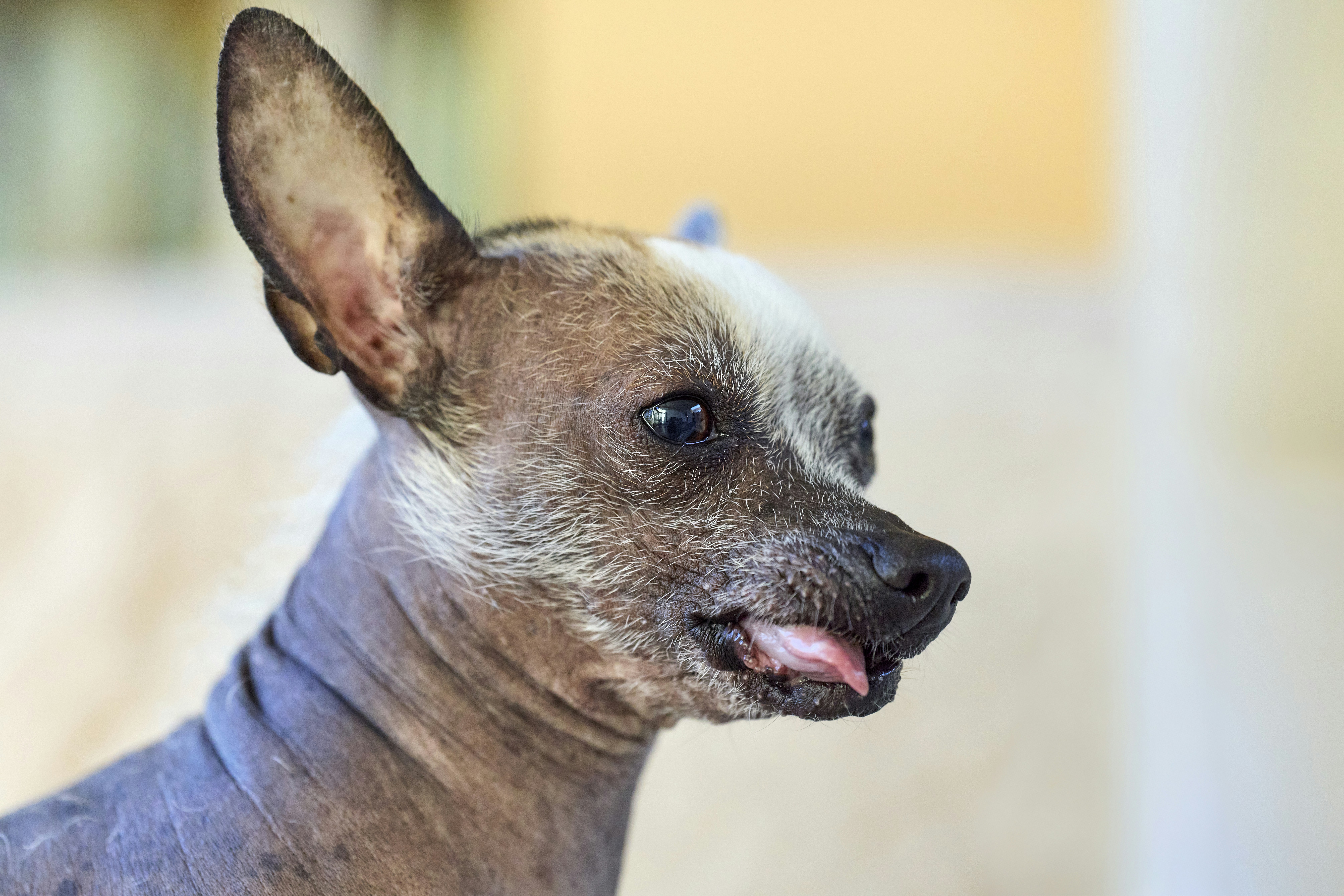 Photo by erwinbosman