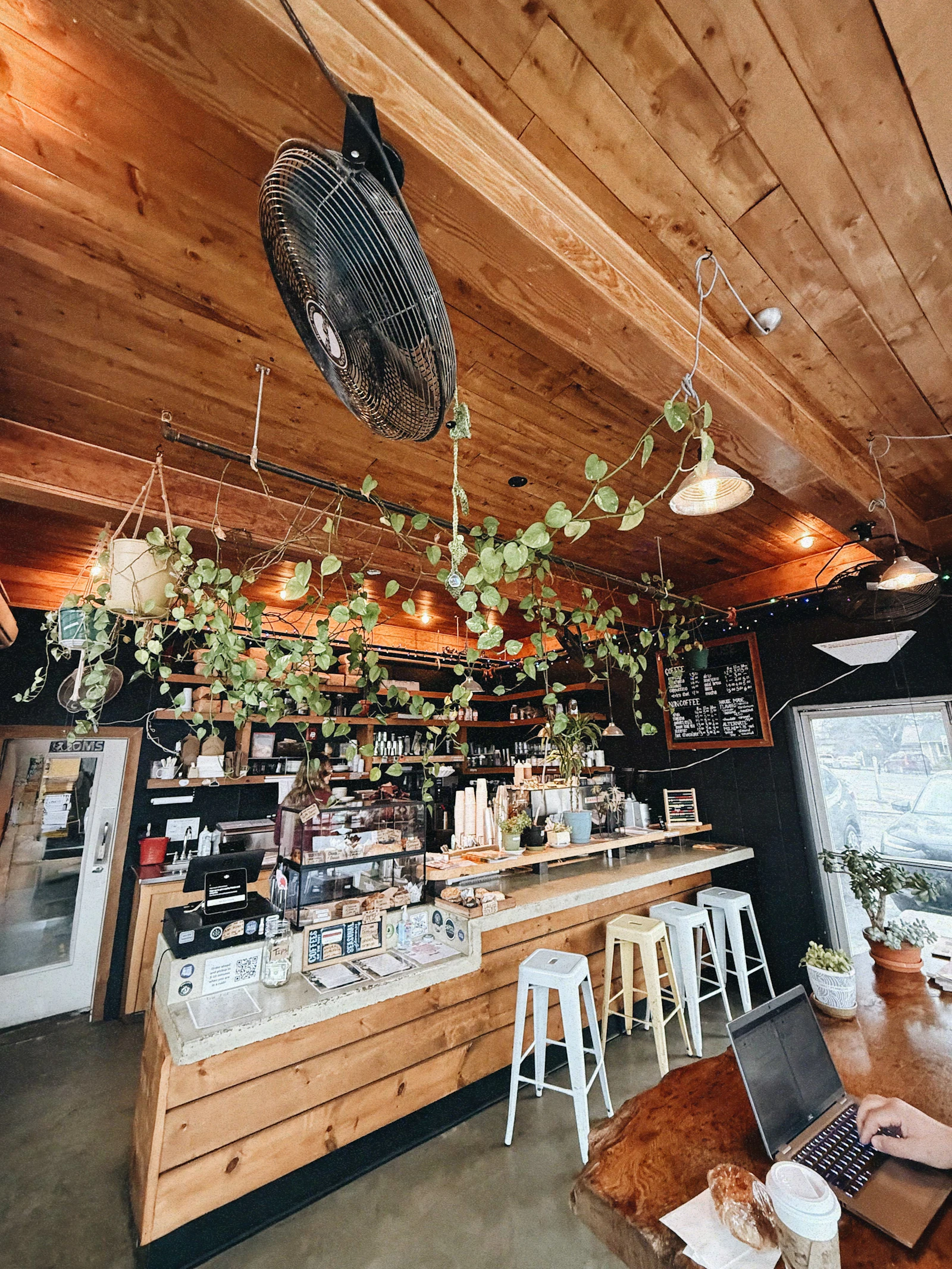 Cozy cafe interior with plants and seating