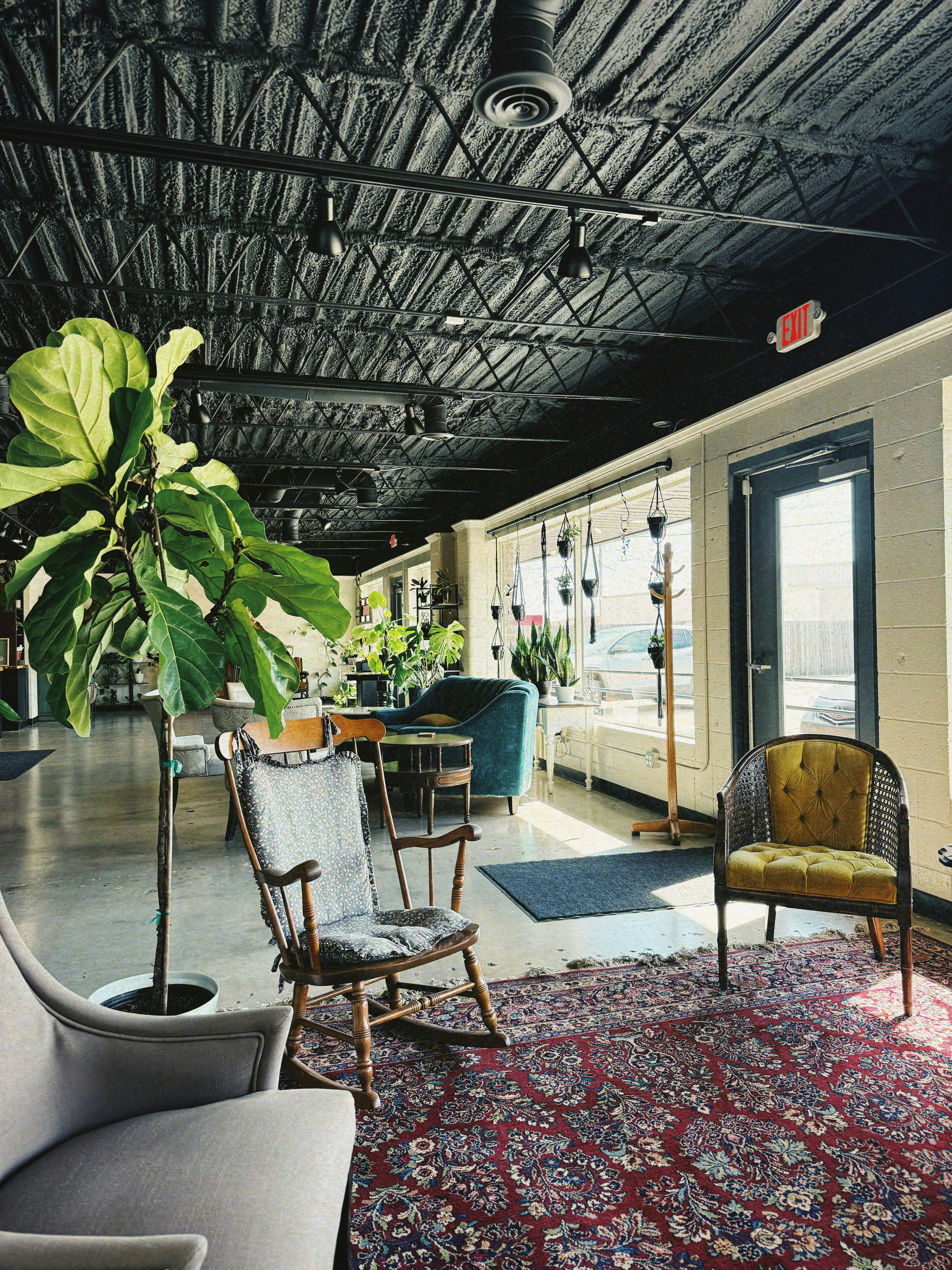 Area soggiorno con piante, poltrone vintage e tappeto con motivi.