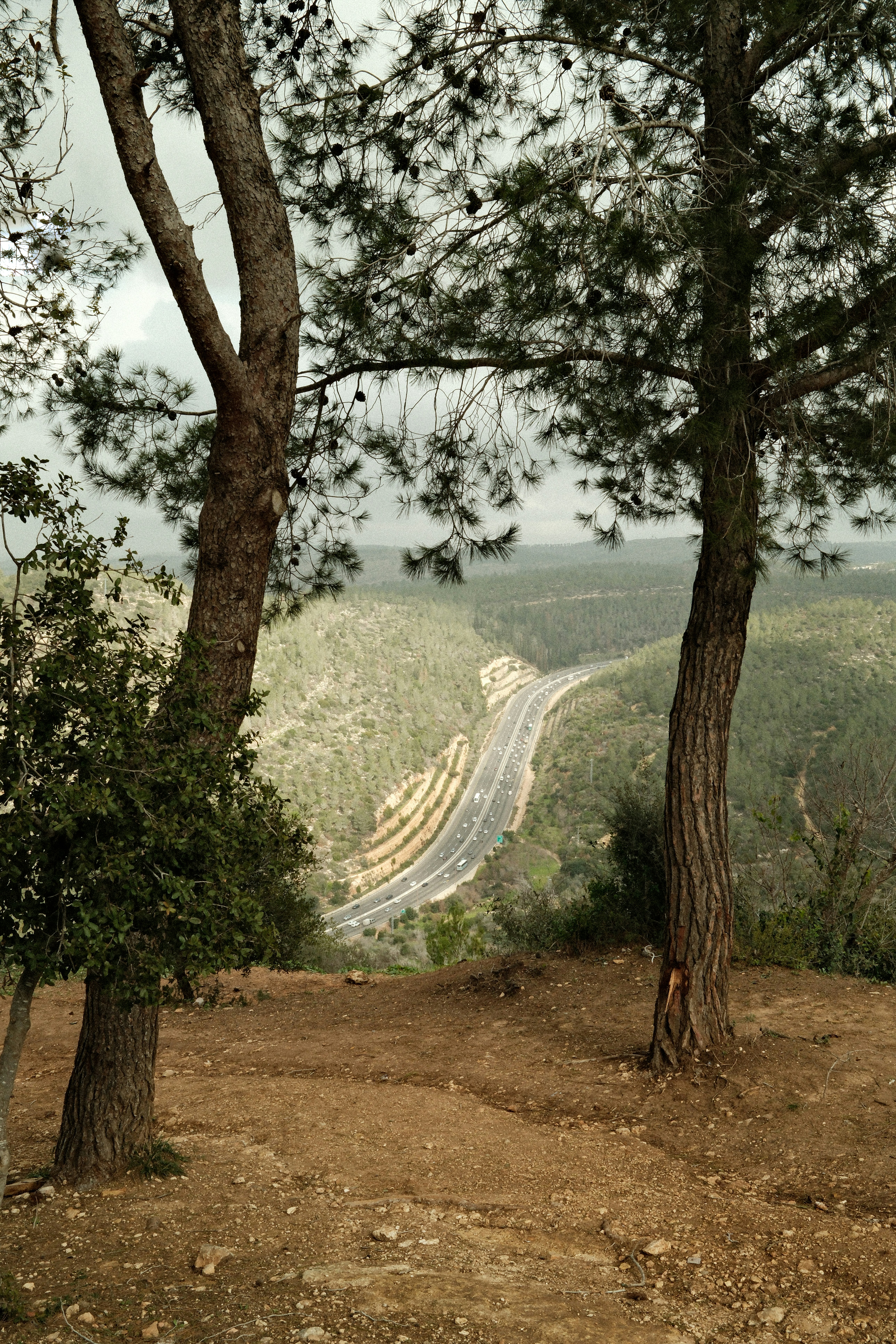 Winding road through a forested valley under cloudy skies.
