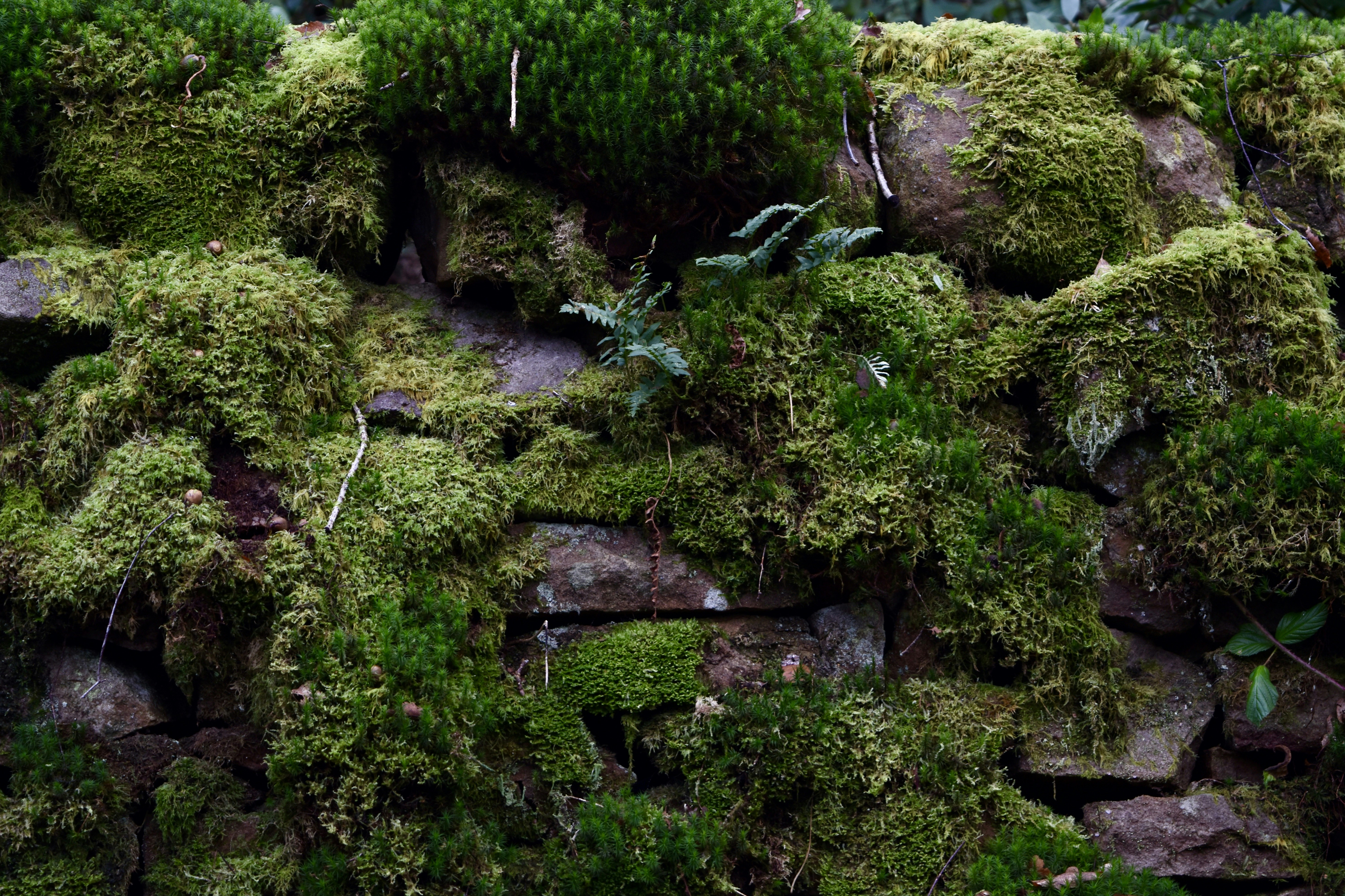 Photo by max_brindley