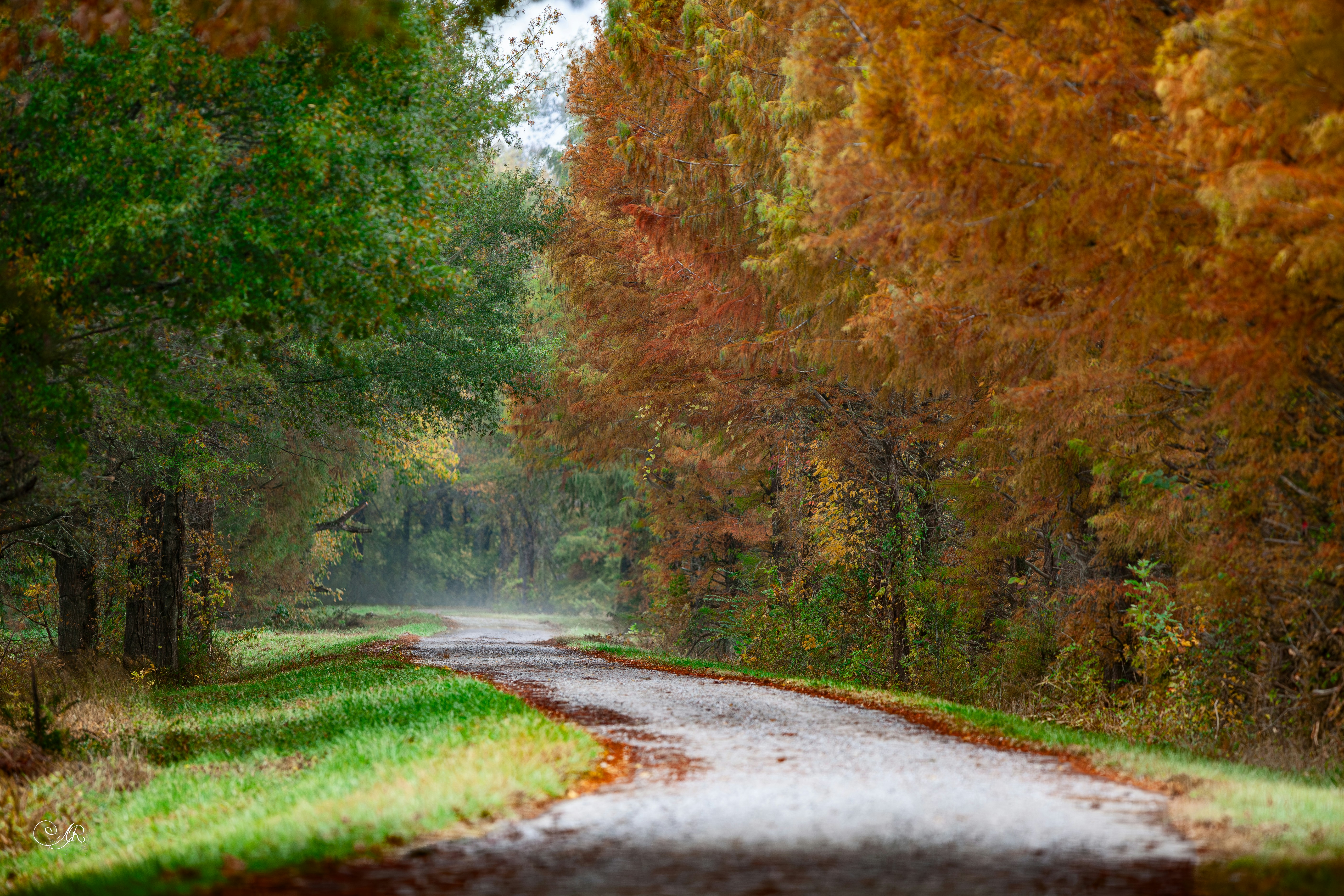 Photo by grimnir35mm