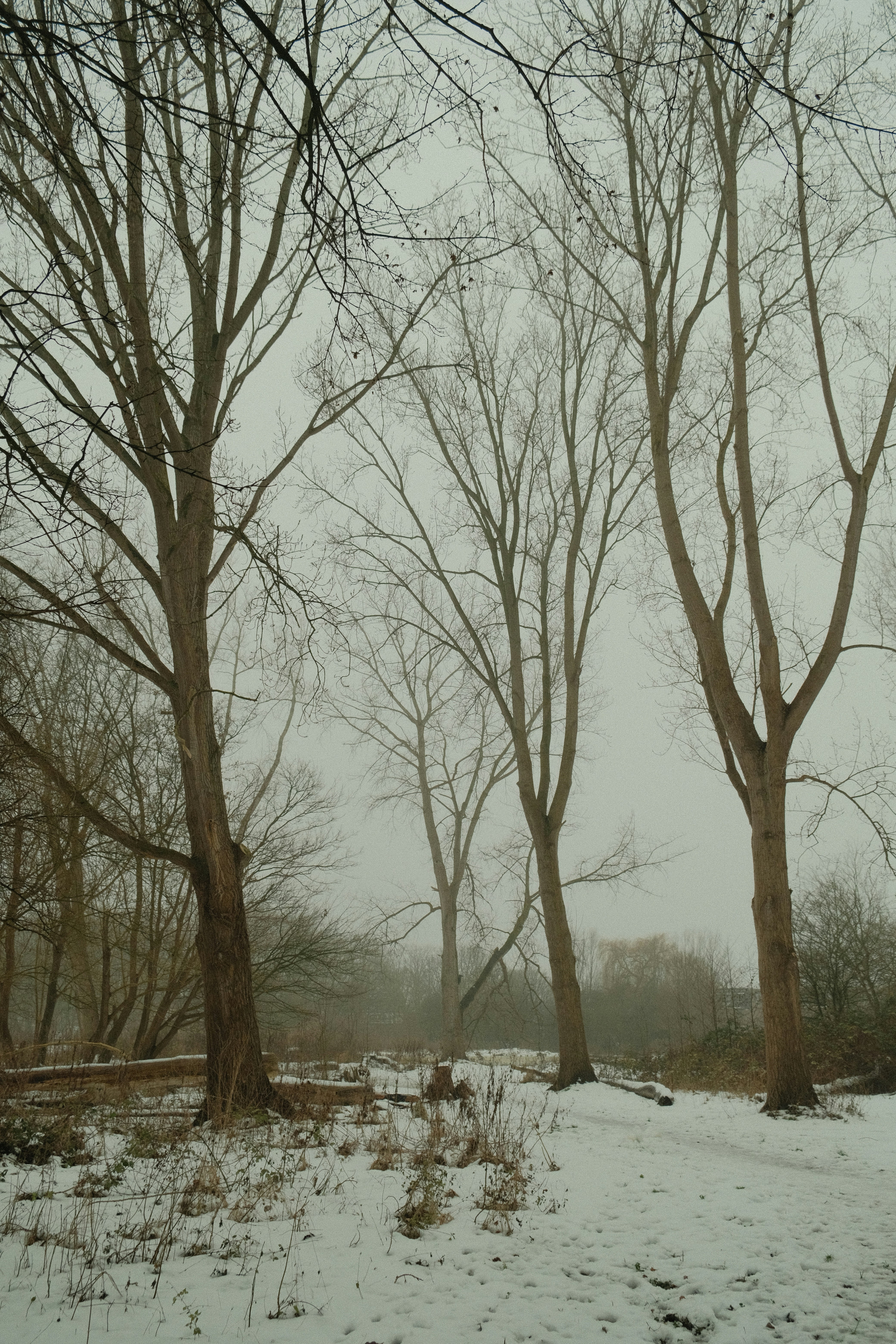 Photo by kyantijhuis