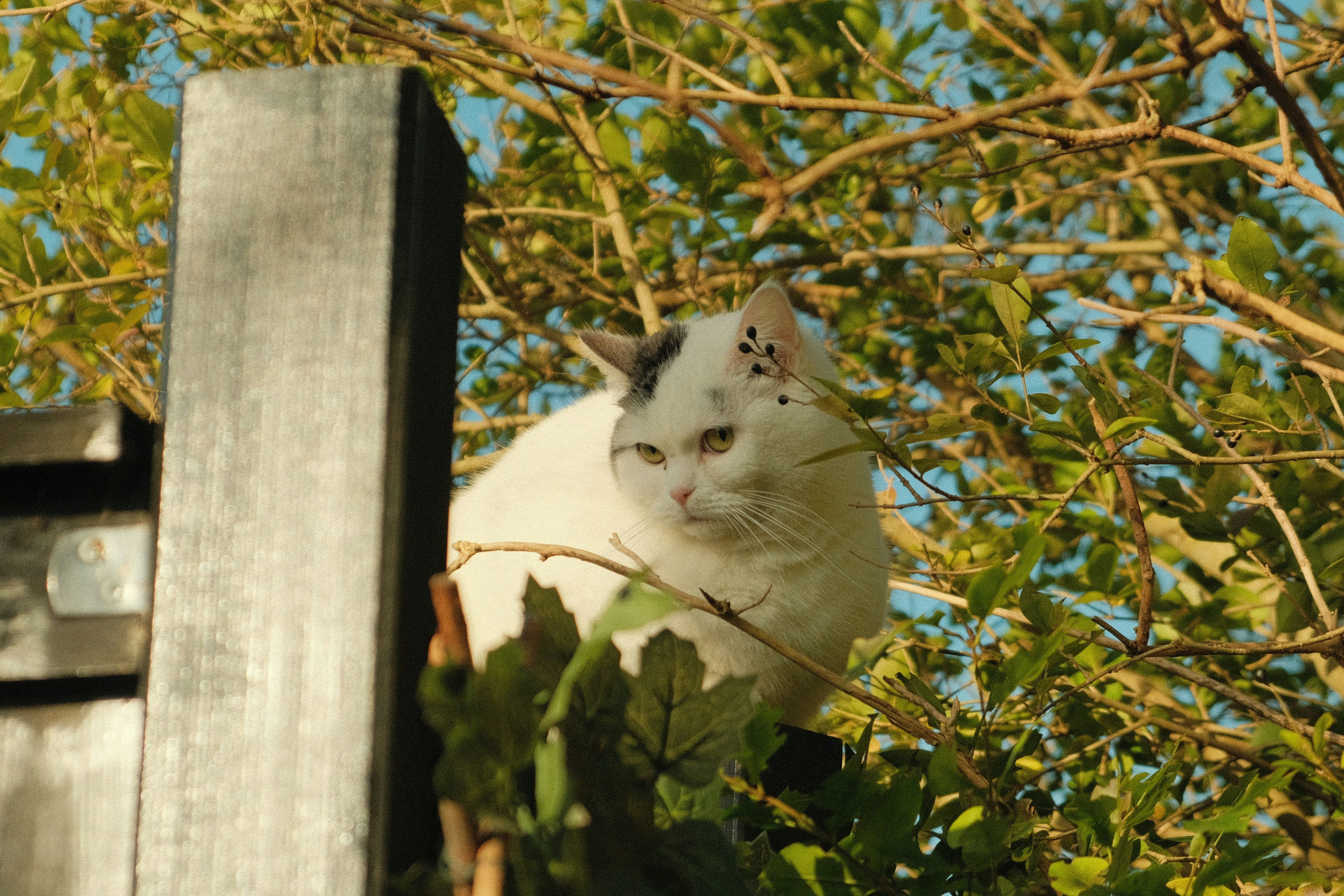 Photo by kyantijhuis