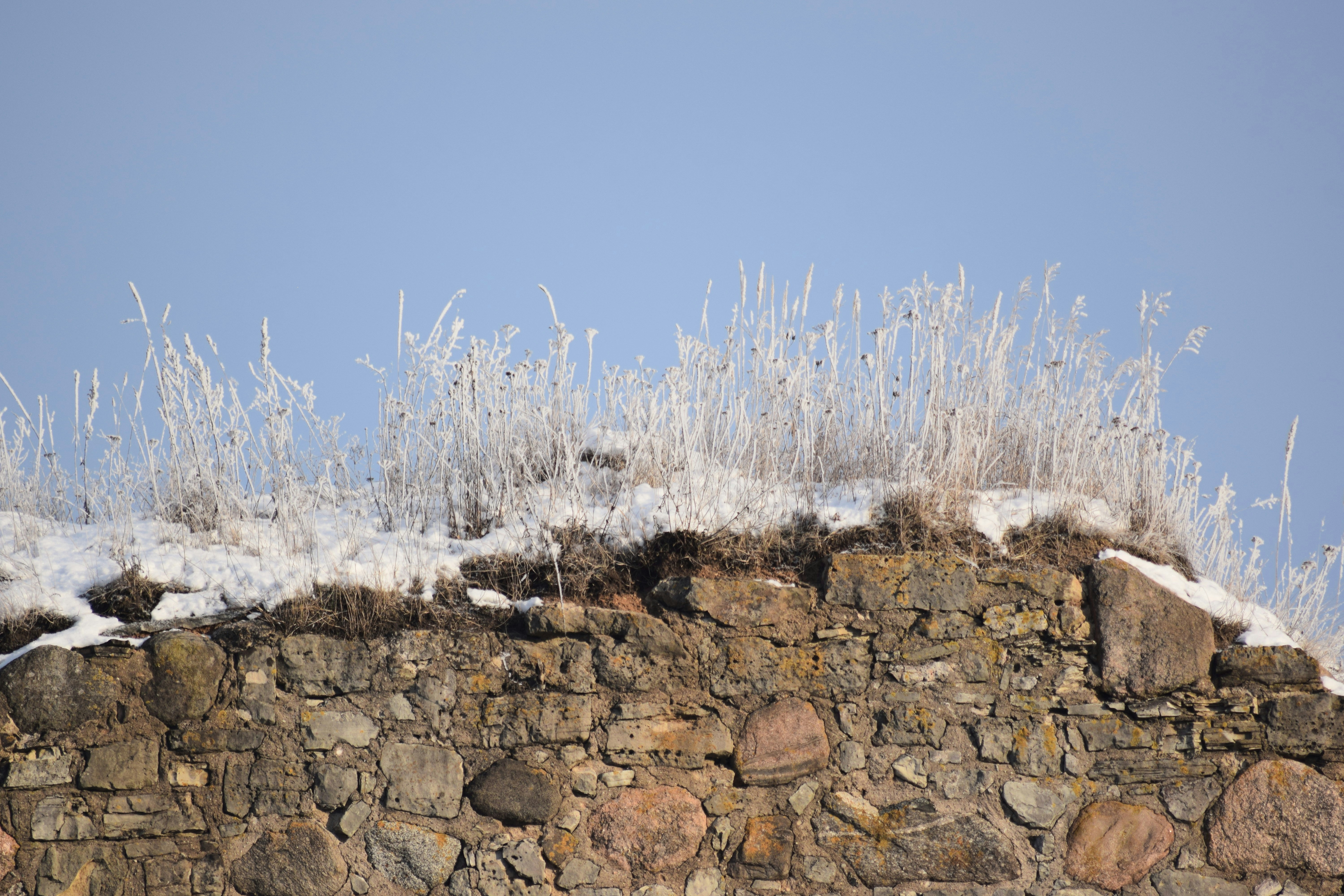 Stone wall with frost-covered grass under clear sky