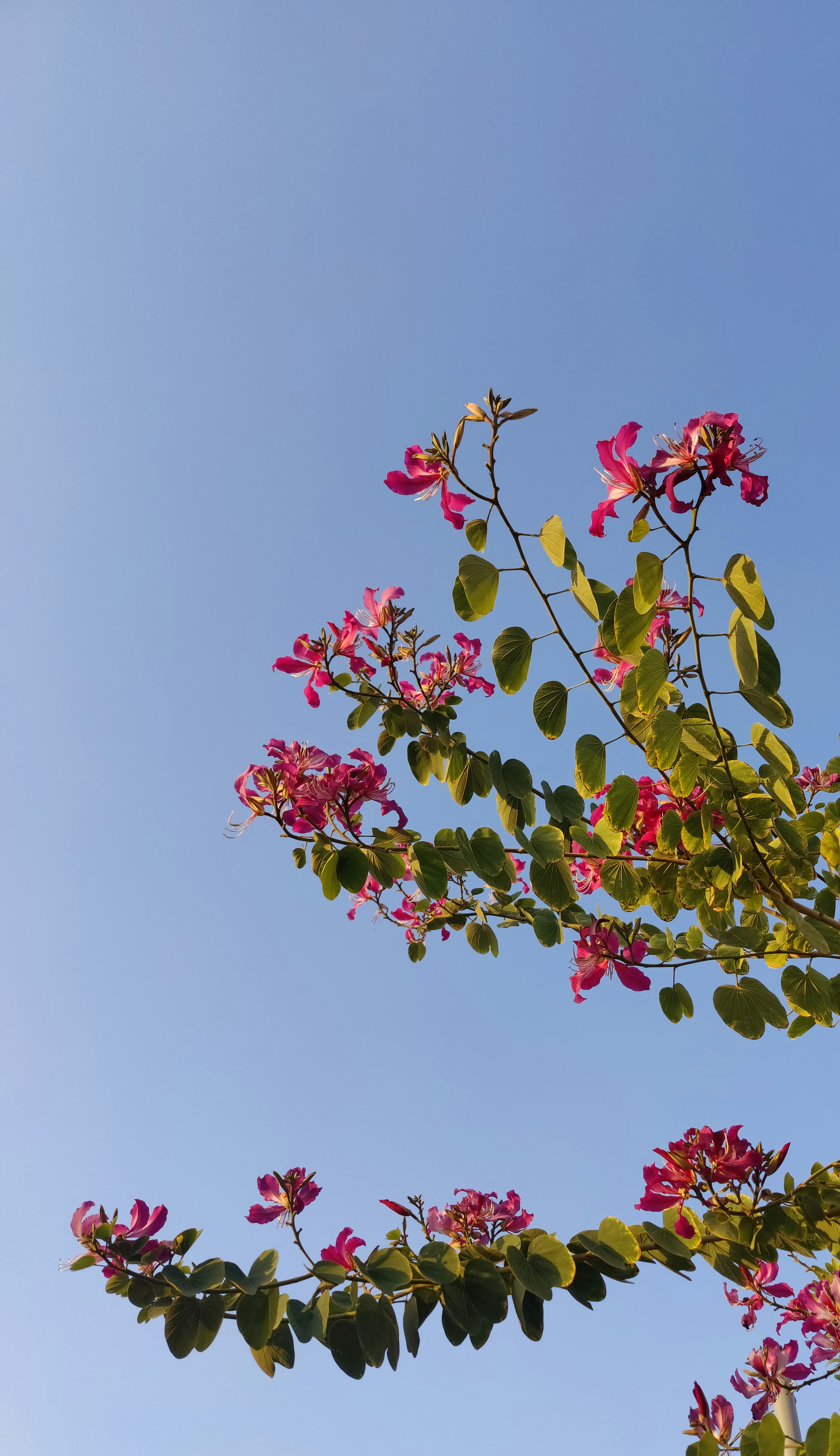 Photo by prince_jake