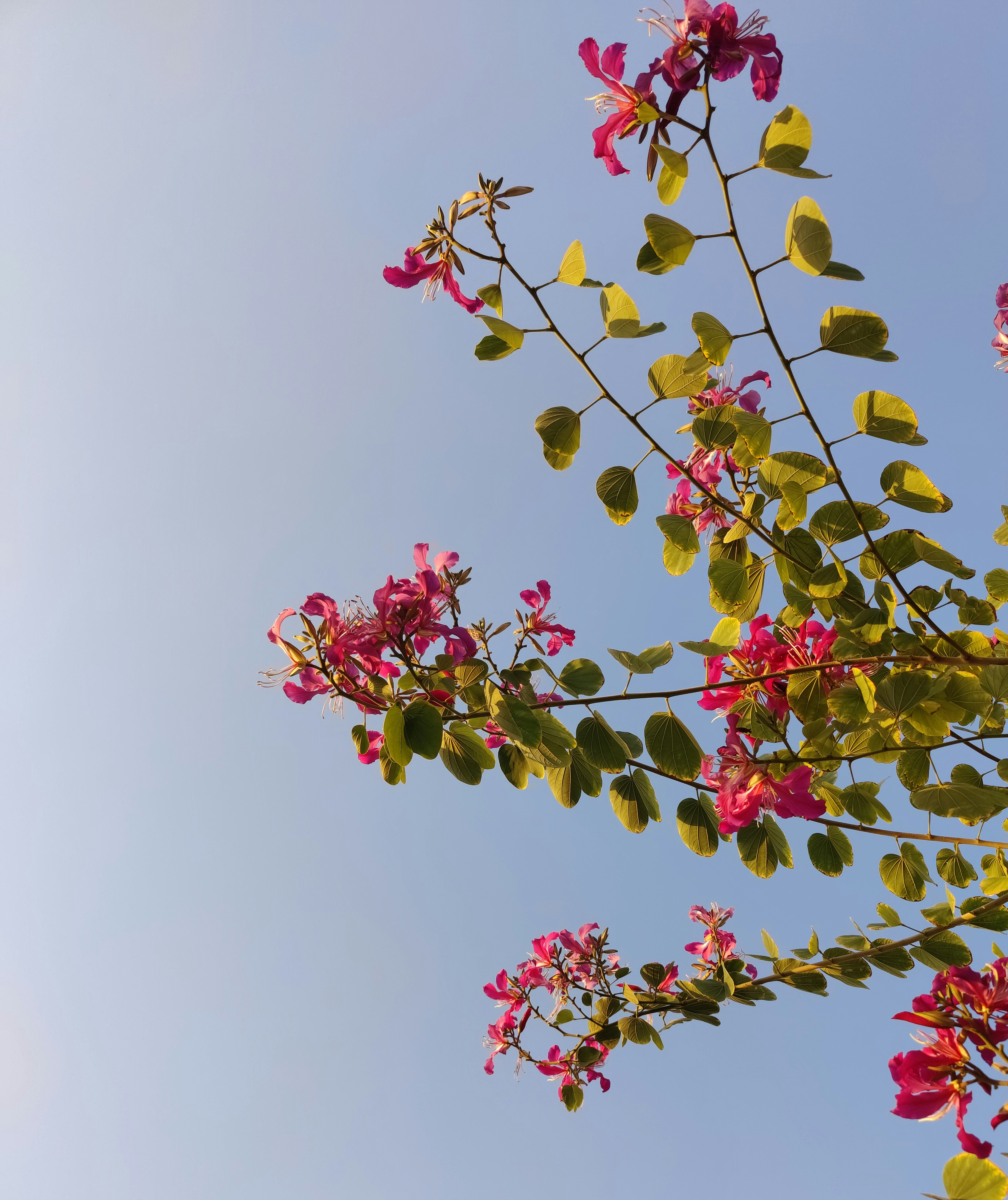 Photo by prince_jake