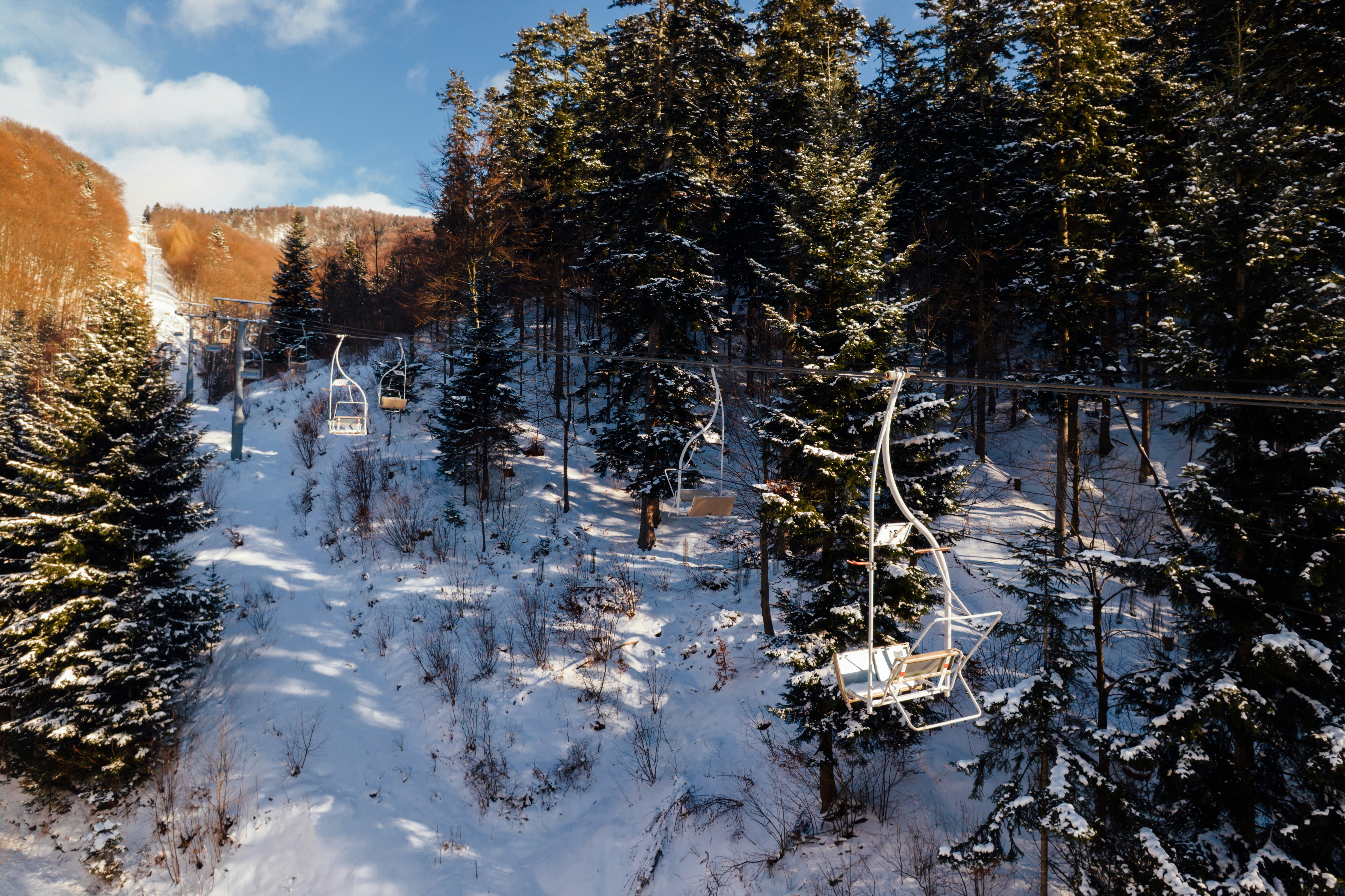 Ski lift chairs ascend a snowy mountain forest