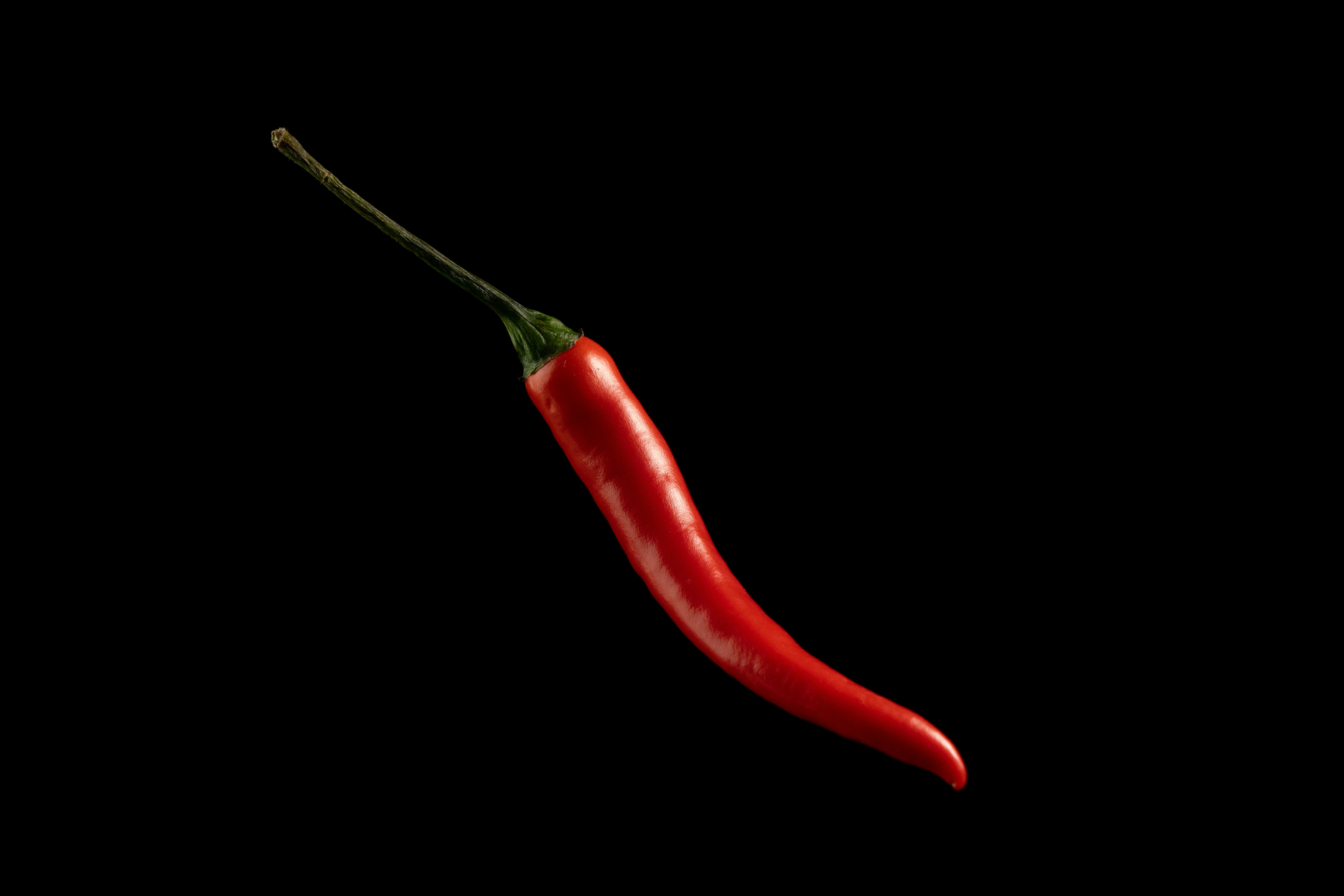 Un solo chile rojo sobre fondo negro