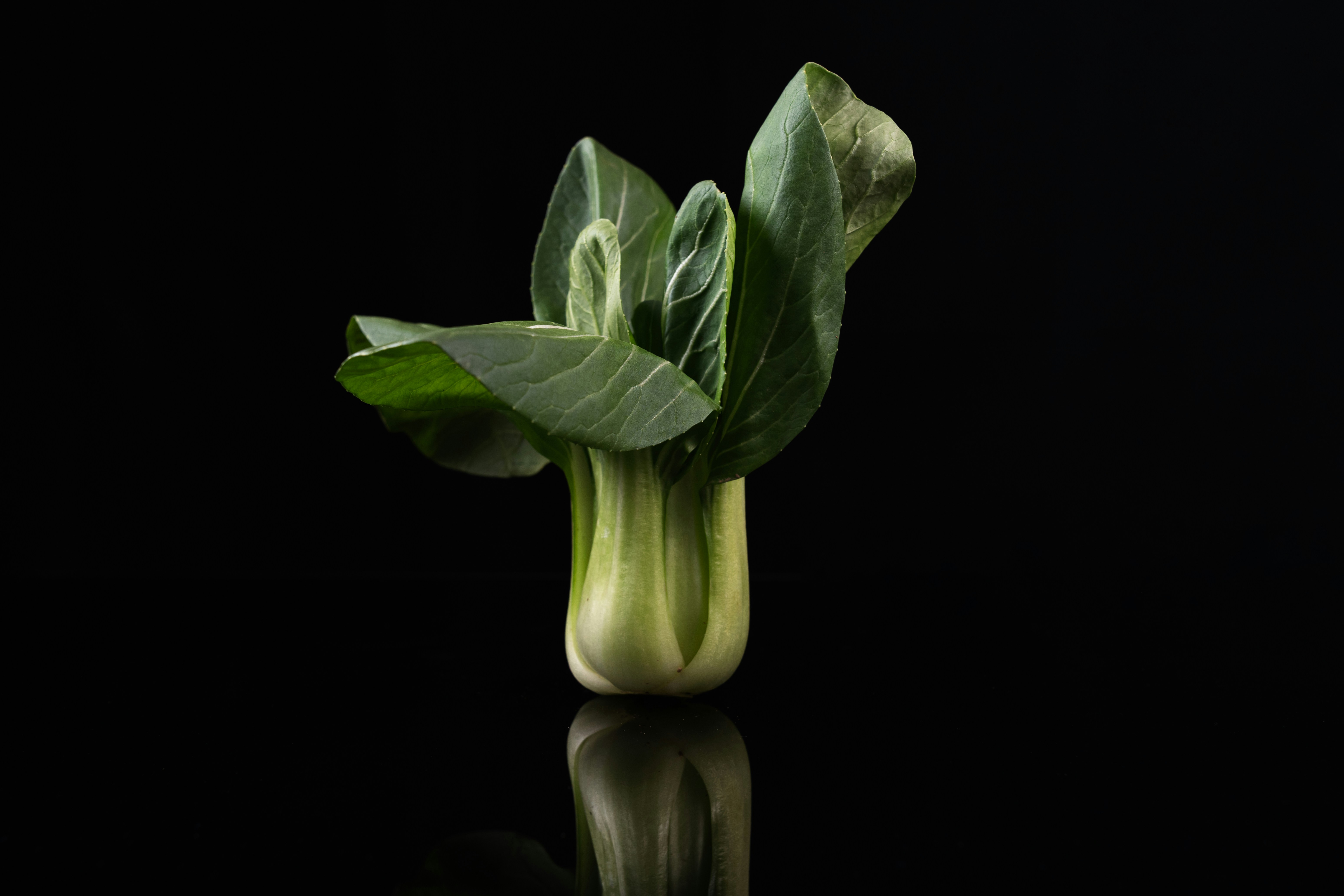 Phytosterols – do they work?