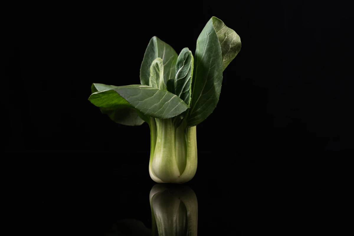 A single head of bok choy on a dark reflective surface