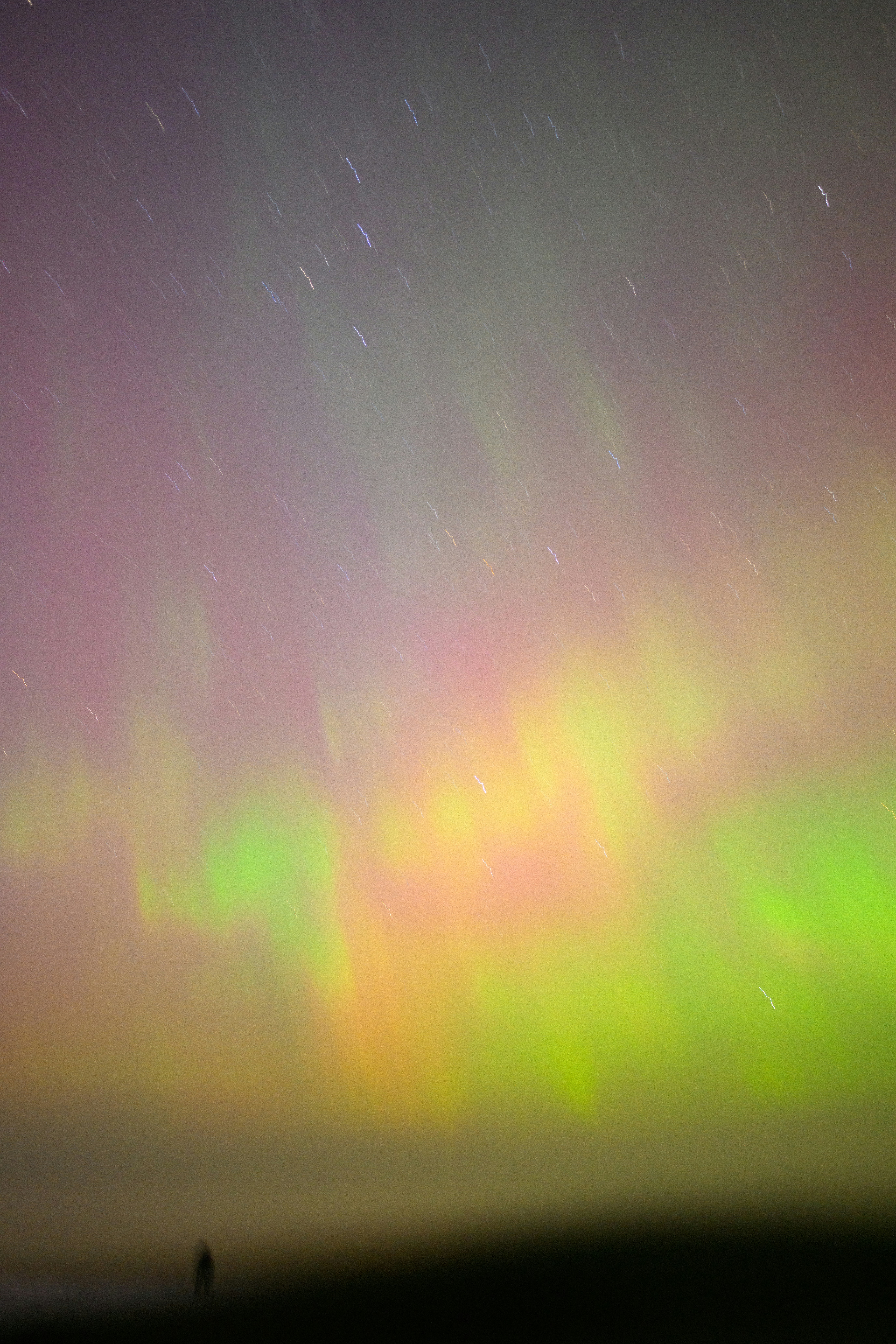 Photo by kristapsungurs