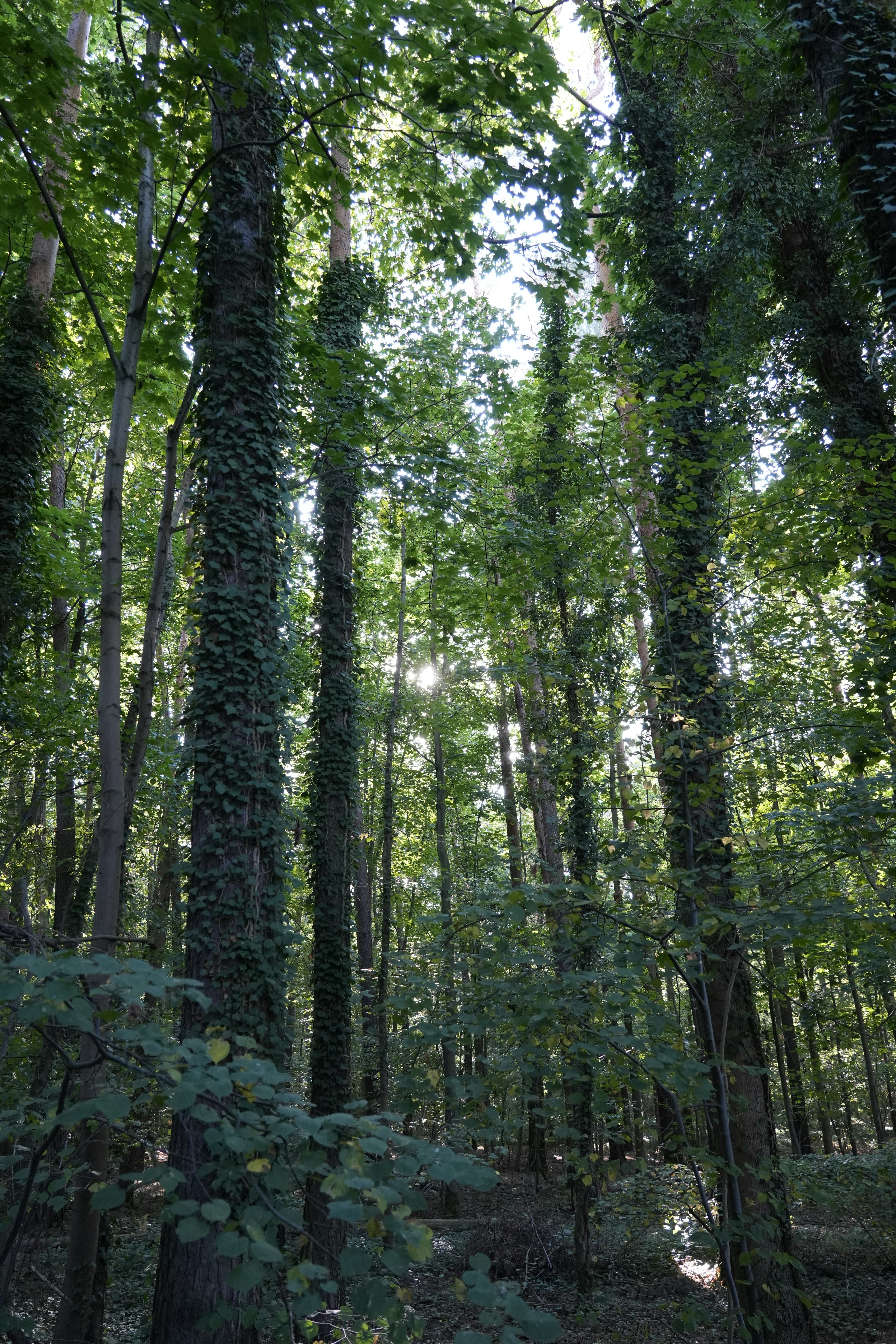 Photo by antjewinkler