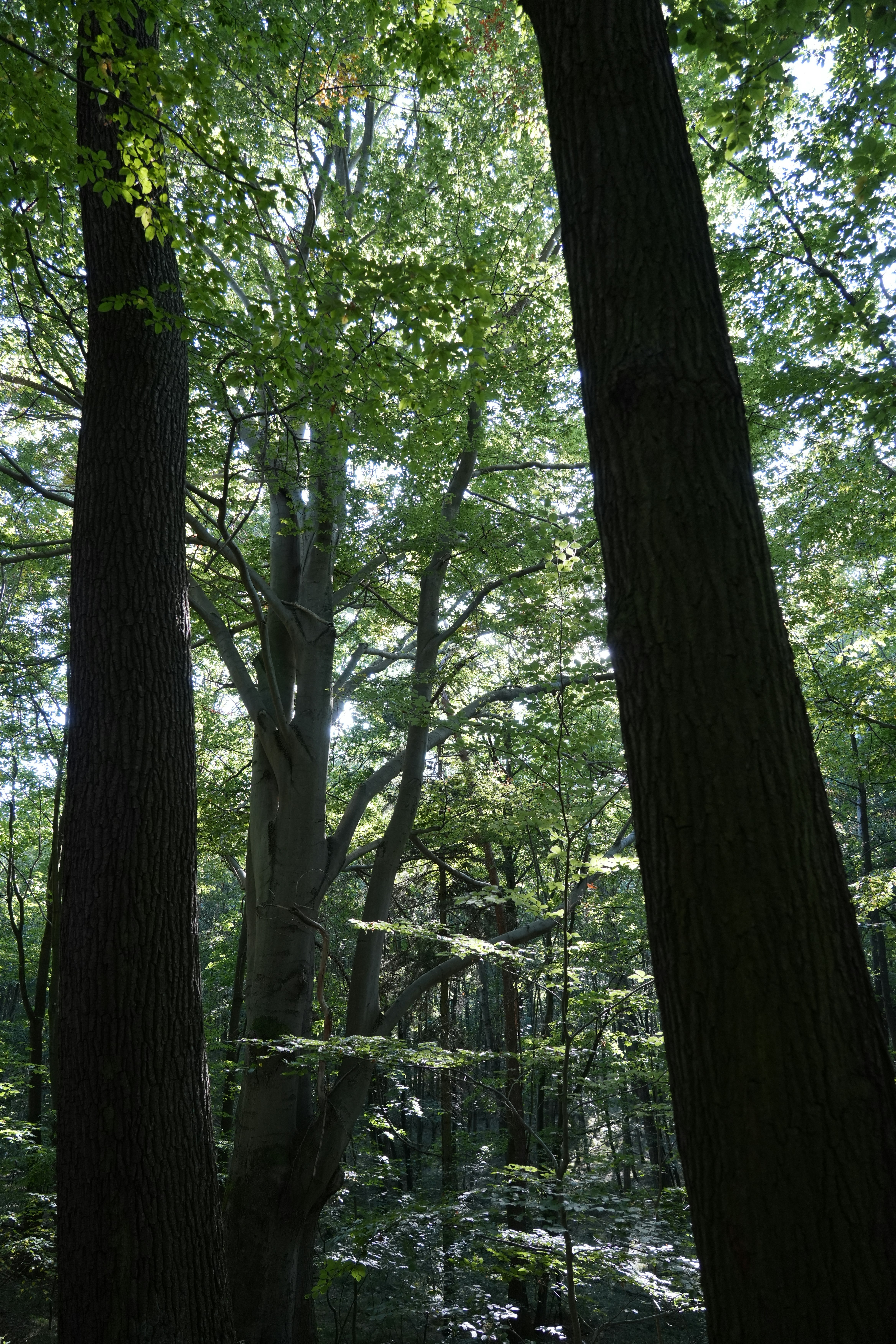 Photo by antjewinkler