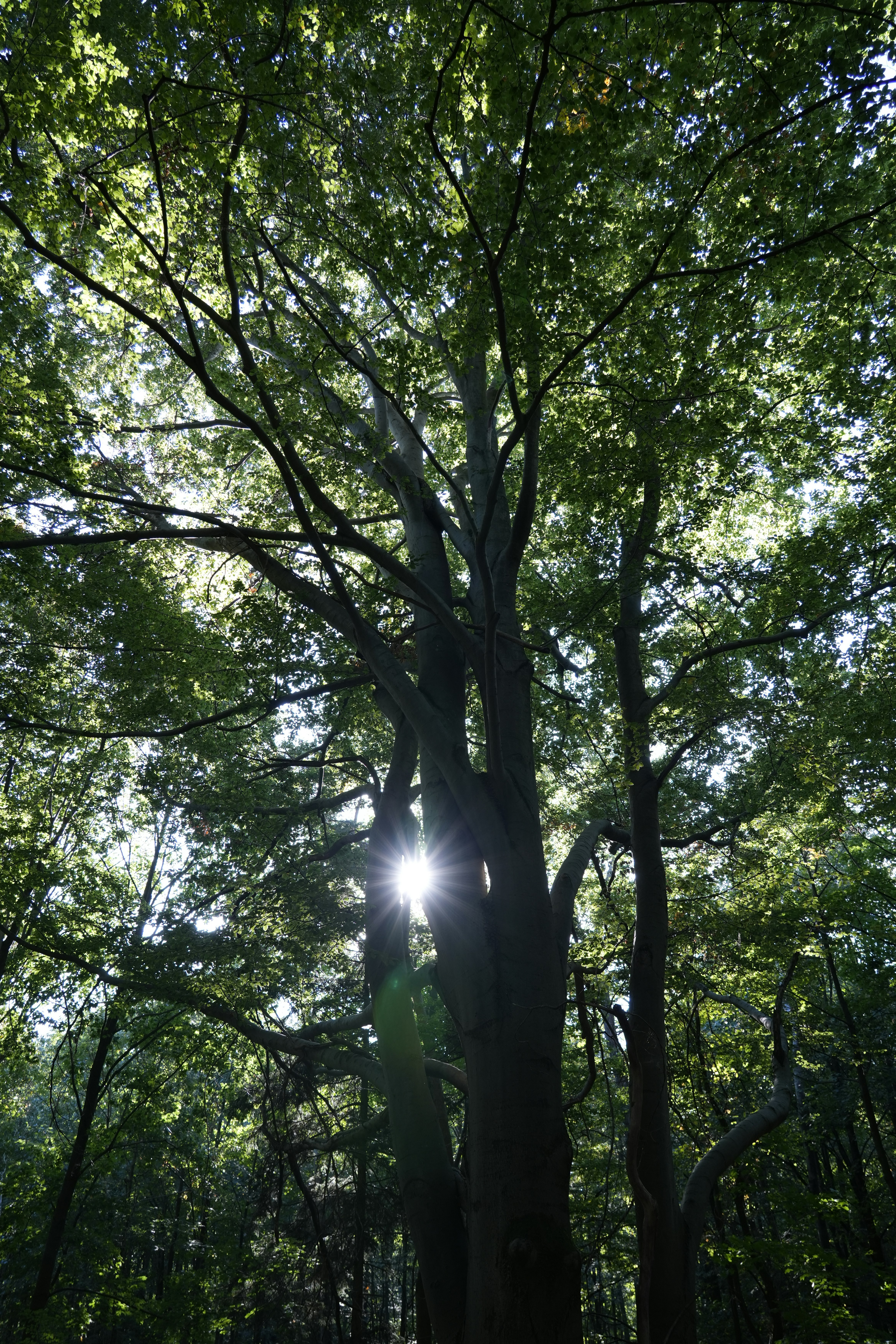 Photo by antjewinkler