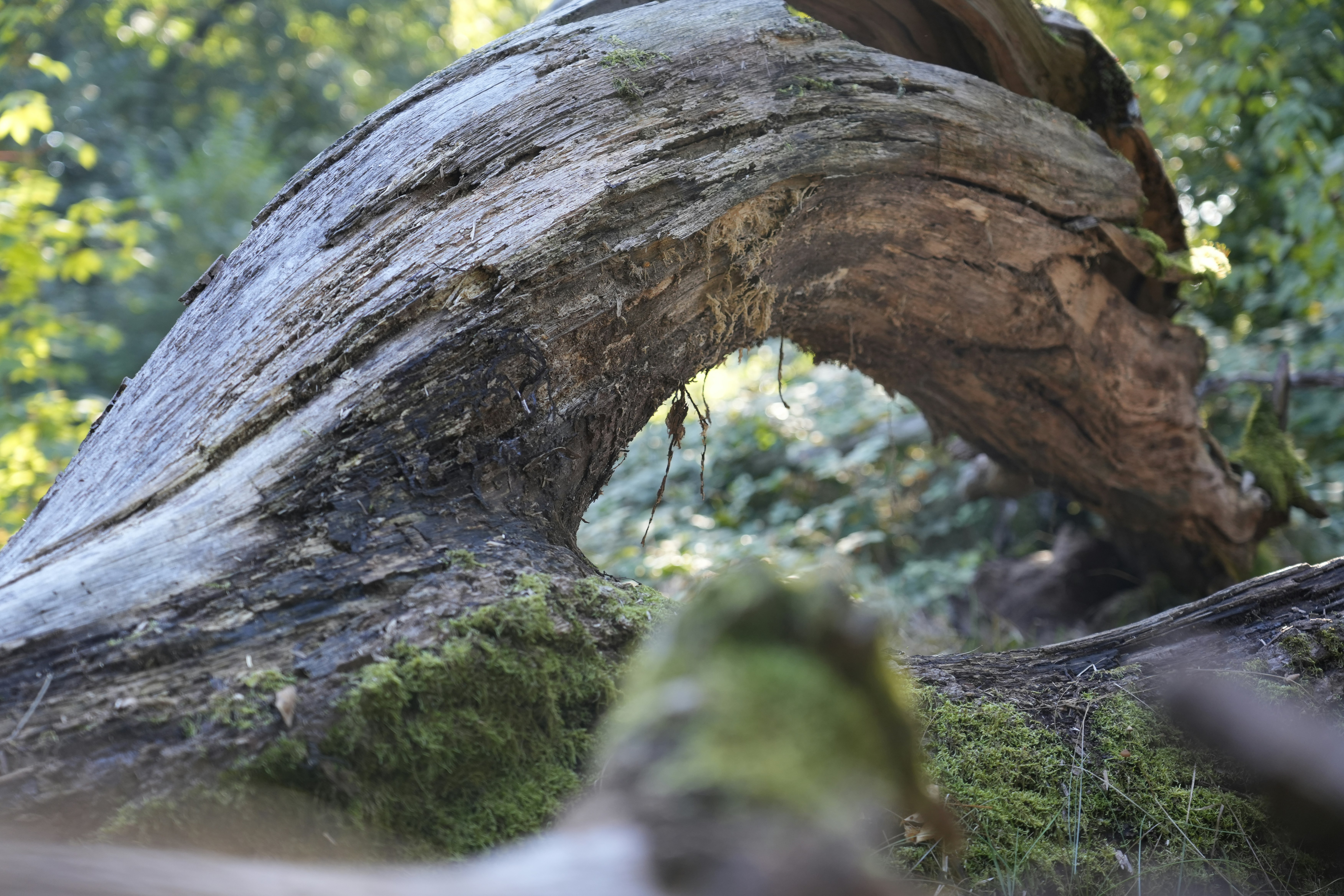 Photo by antjewinkler