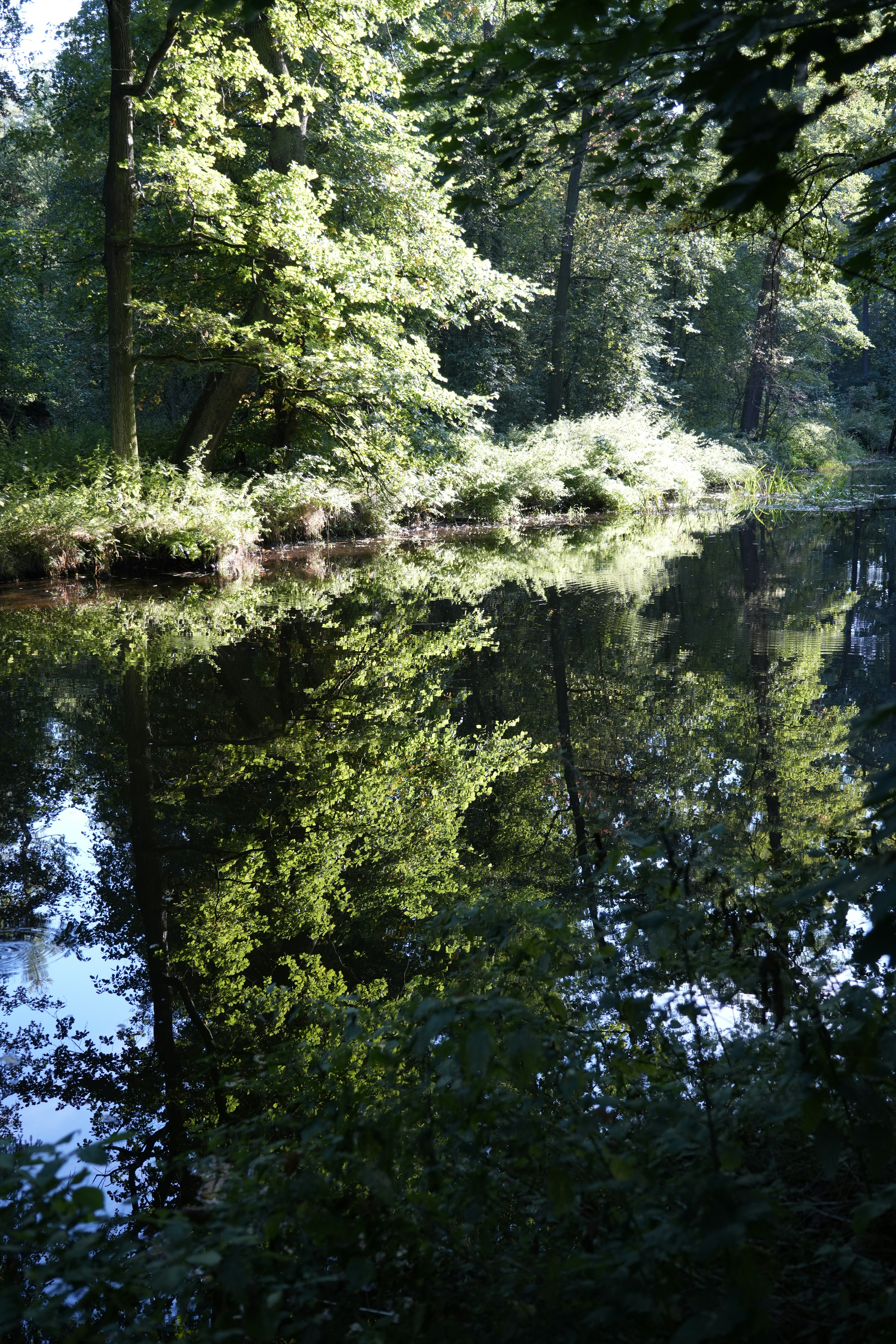 Photo by antjewinkler