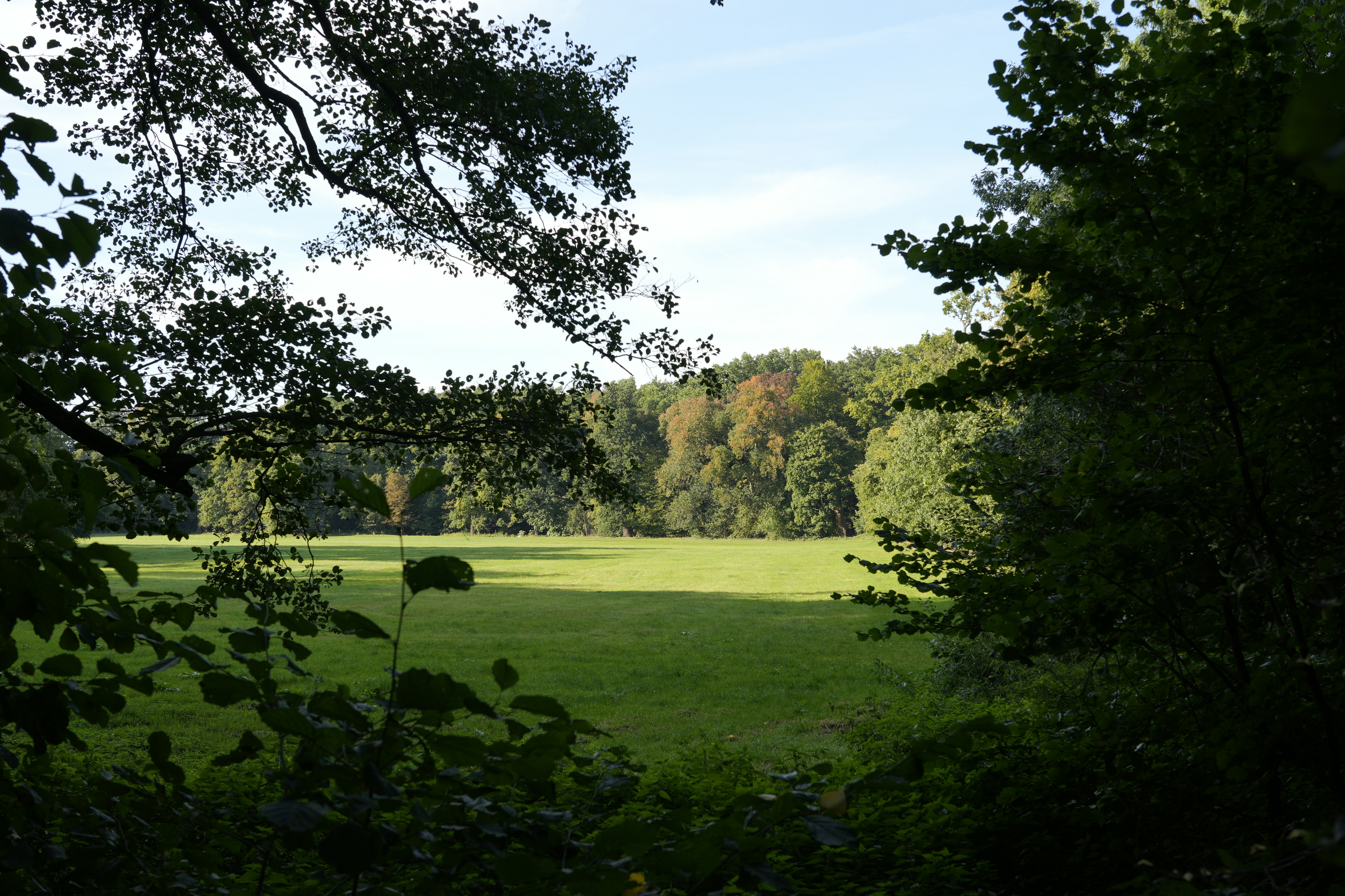 Photo by antjewinkler