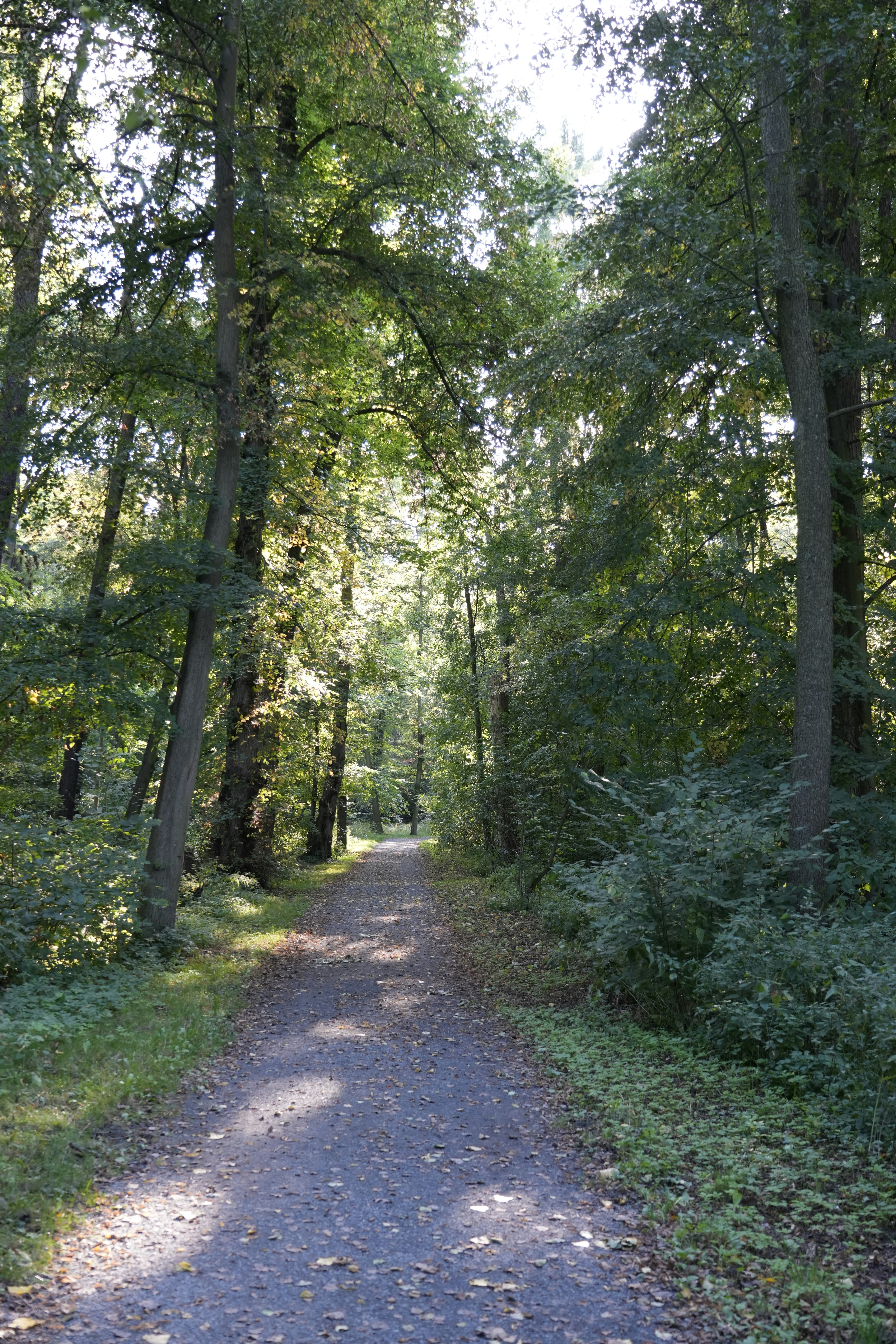 Photo by antjewinkler