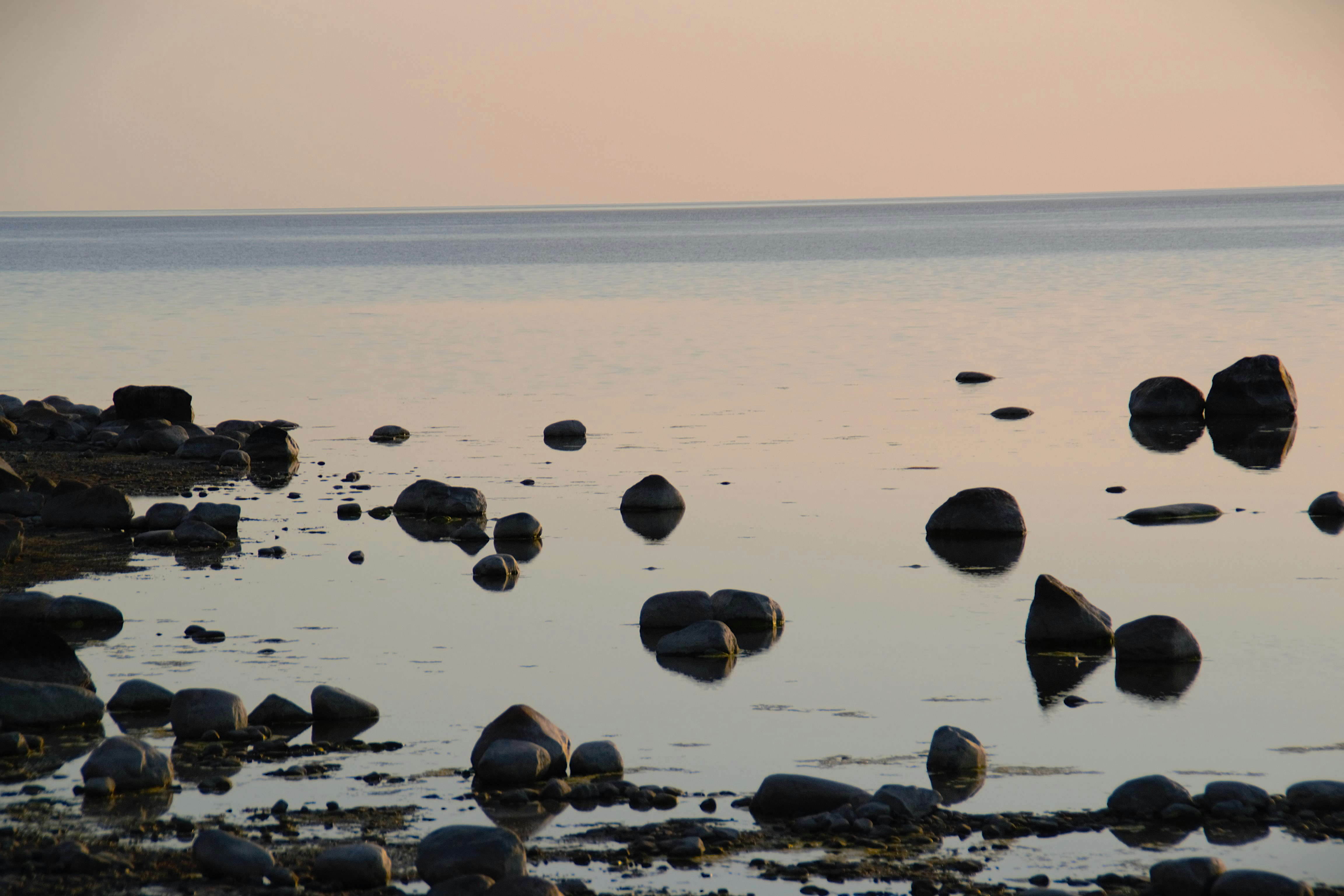 Photo by psilocybe53