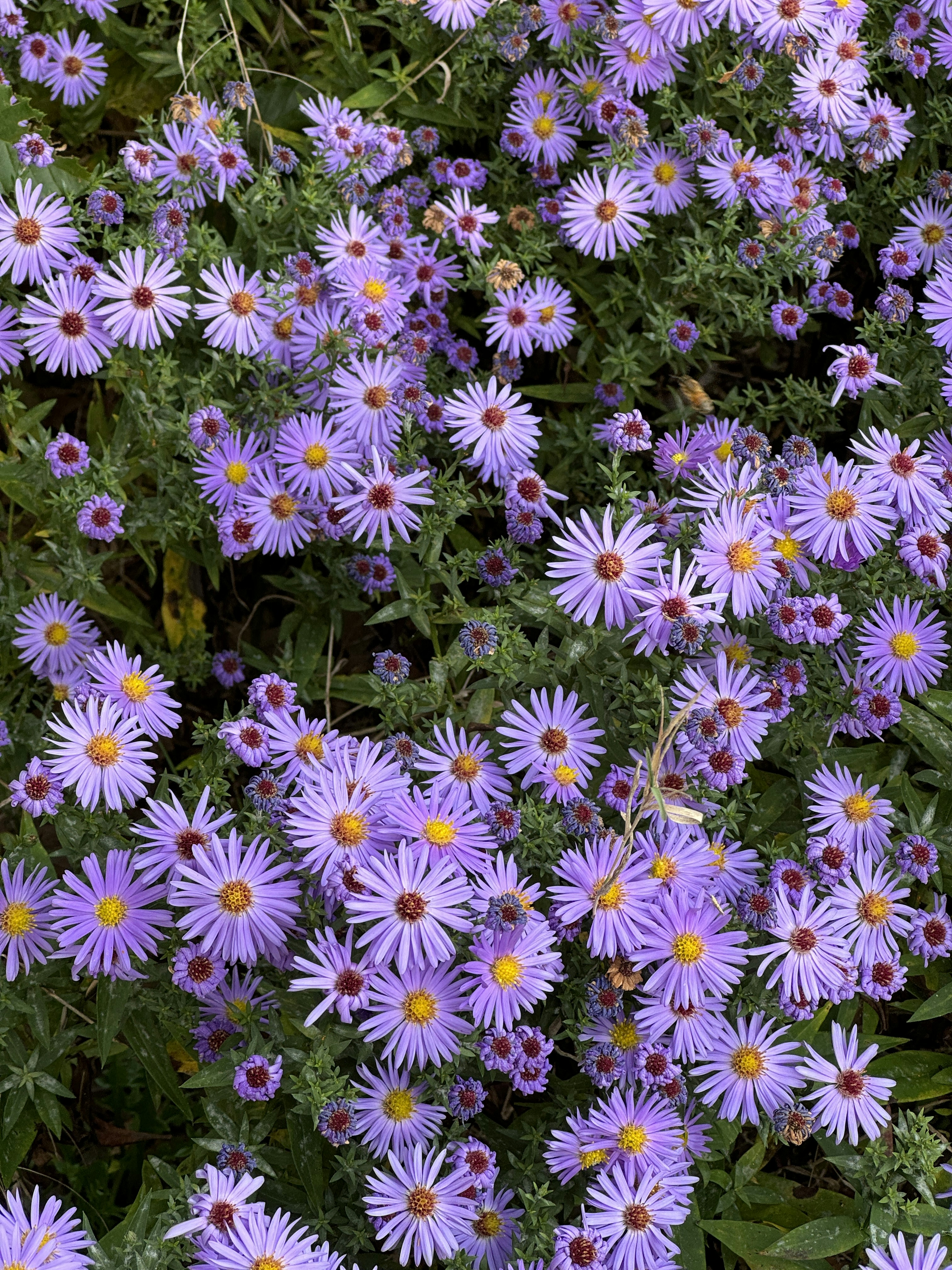 Photo by antjewinkler