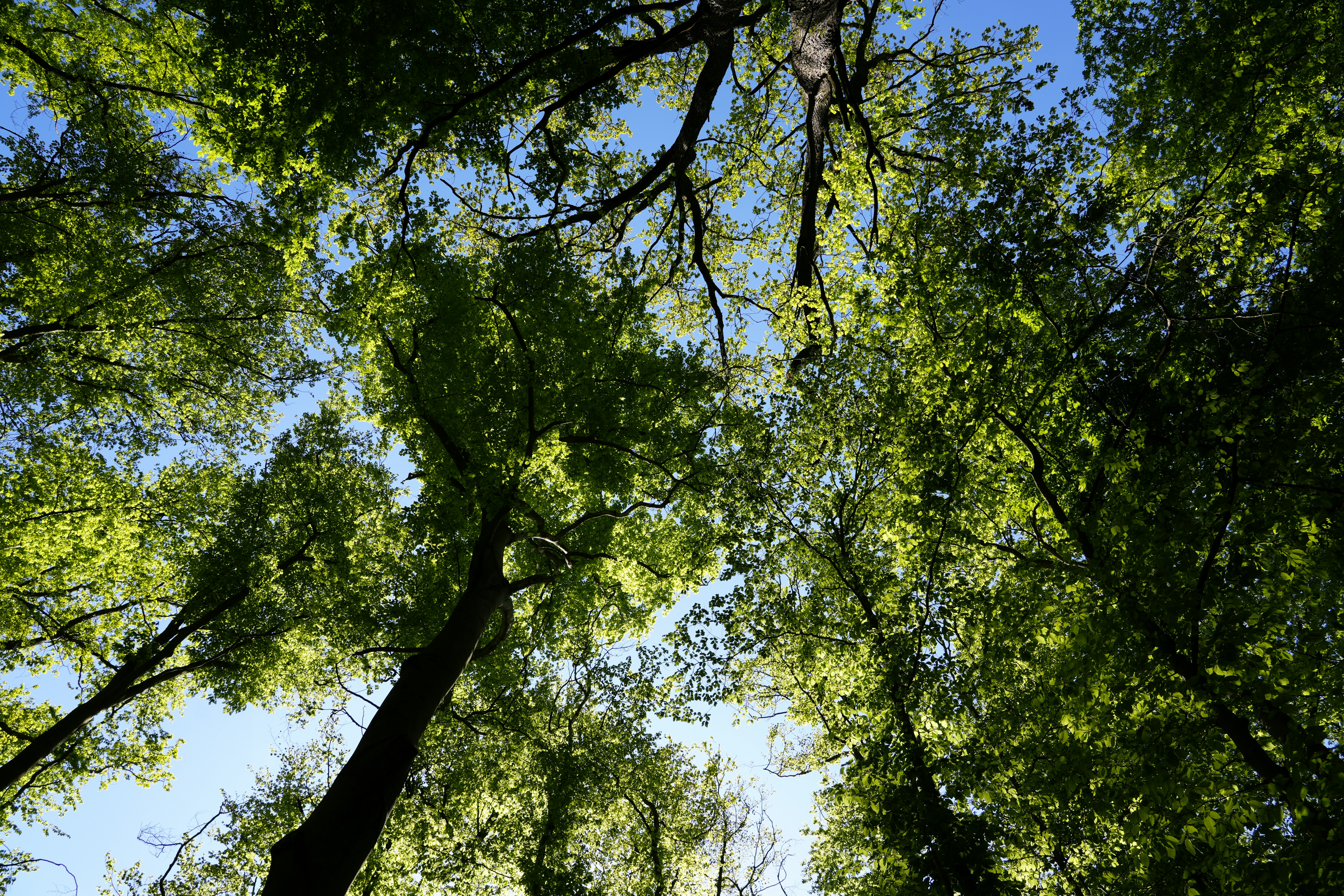 Photo by antjewinkler