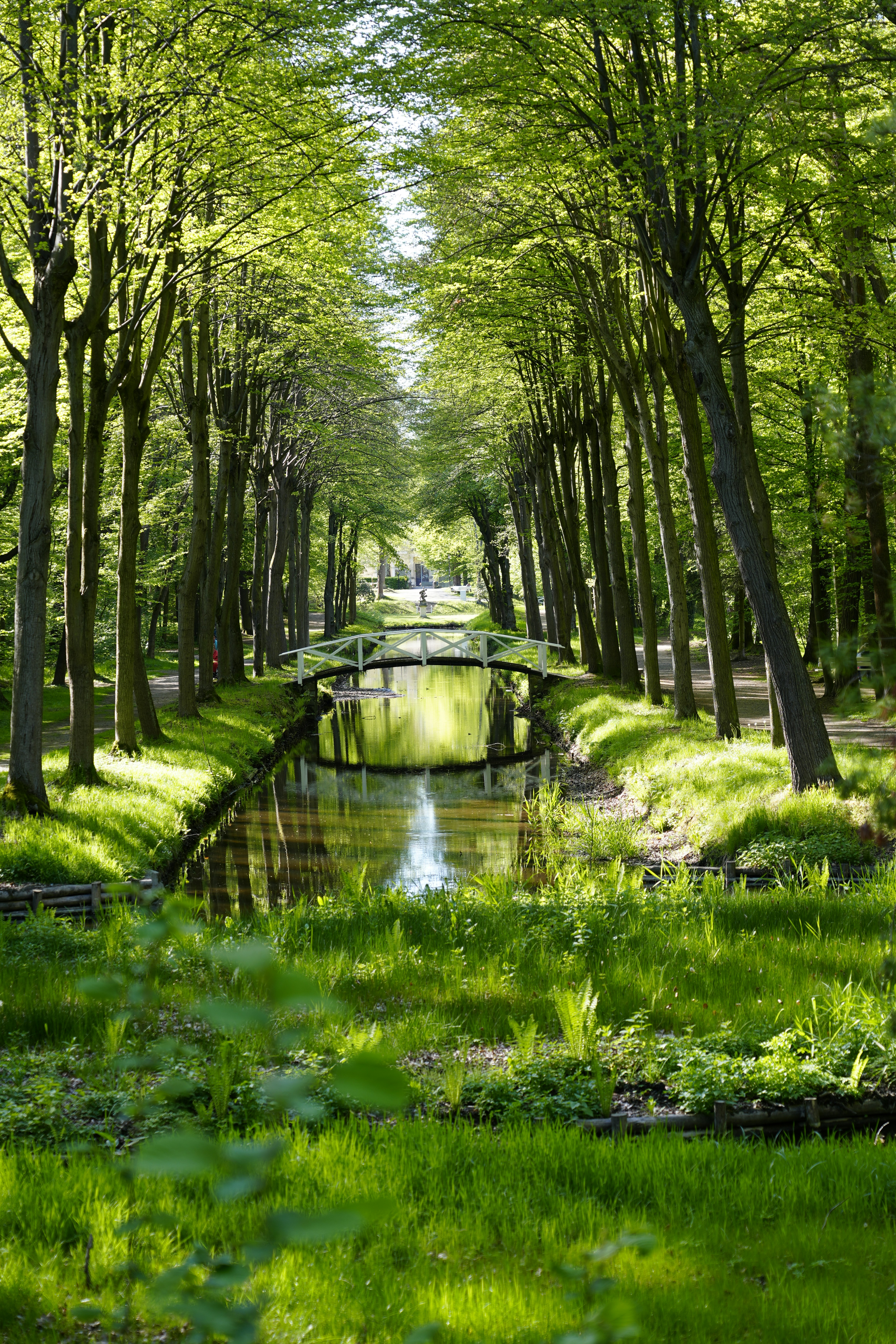 Photo by antjewinkler