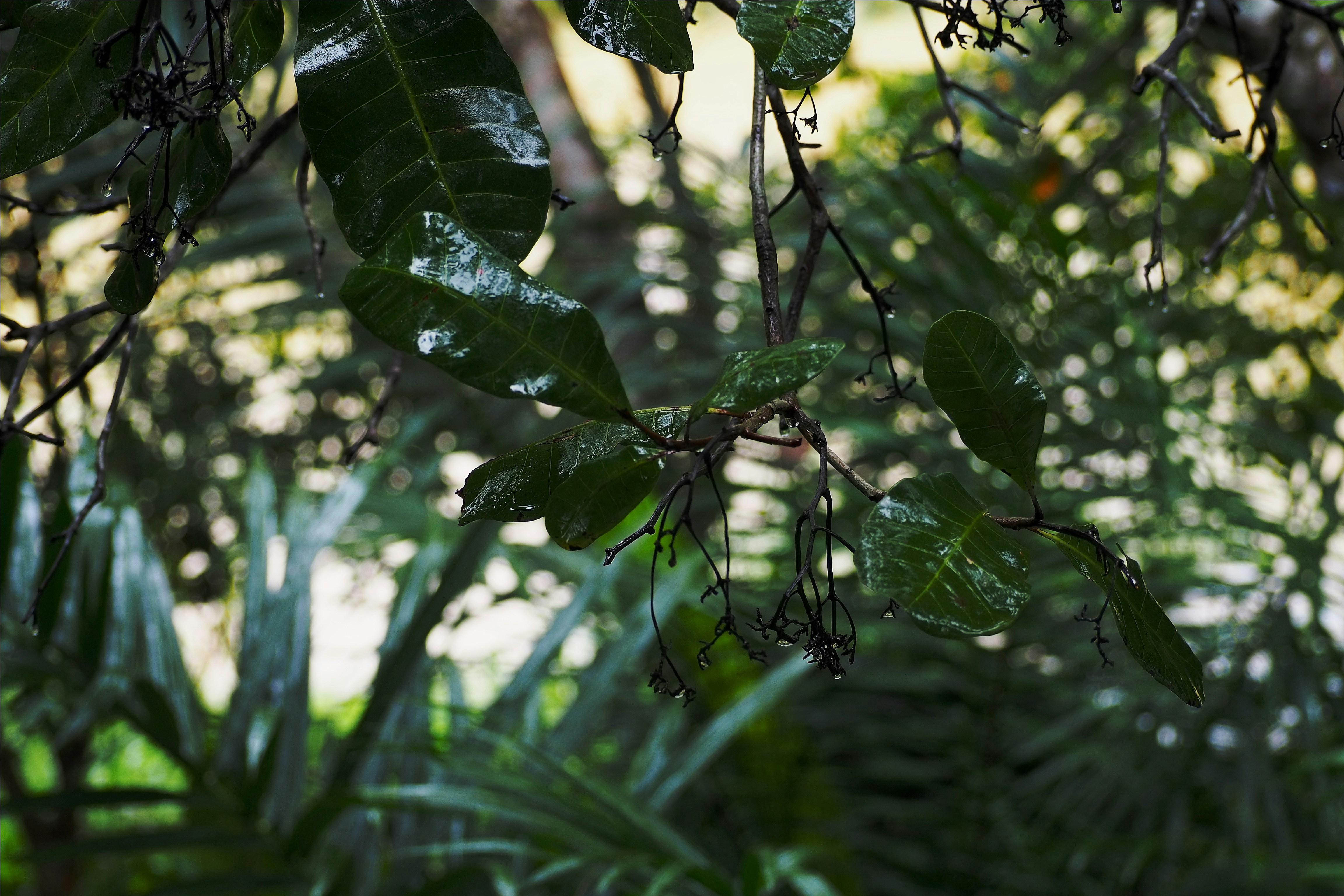 Photo by anna_amelina