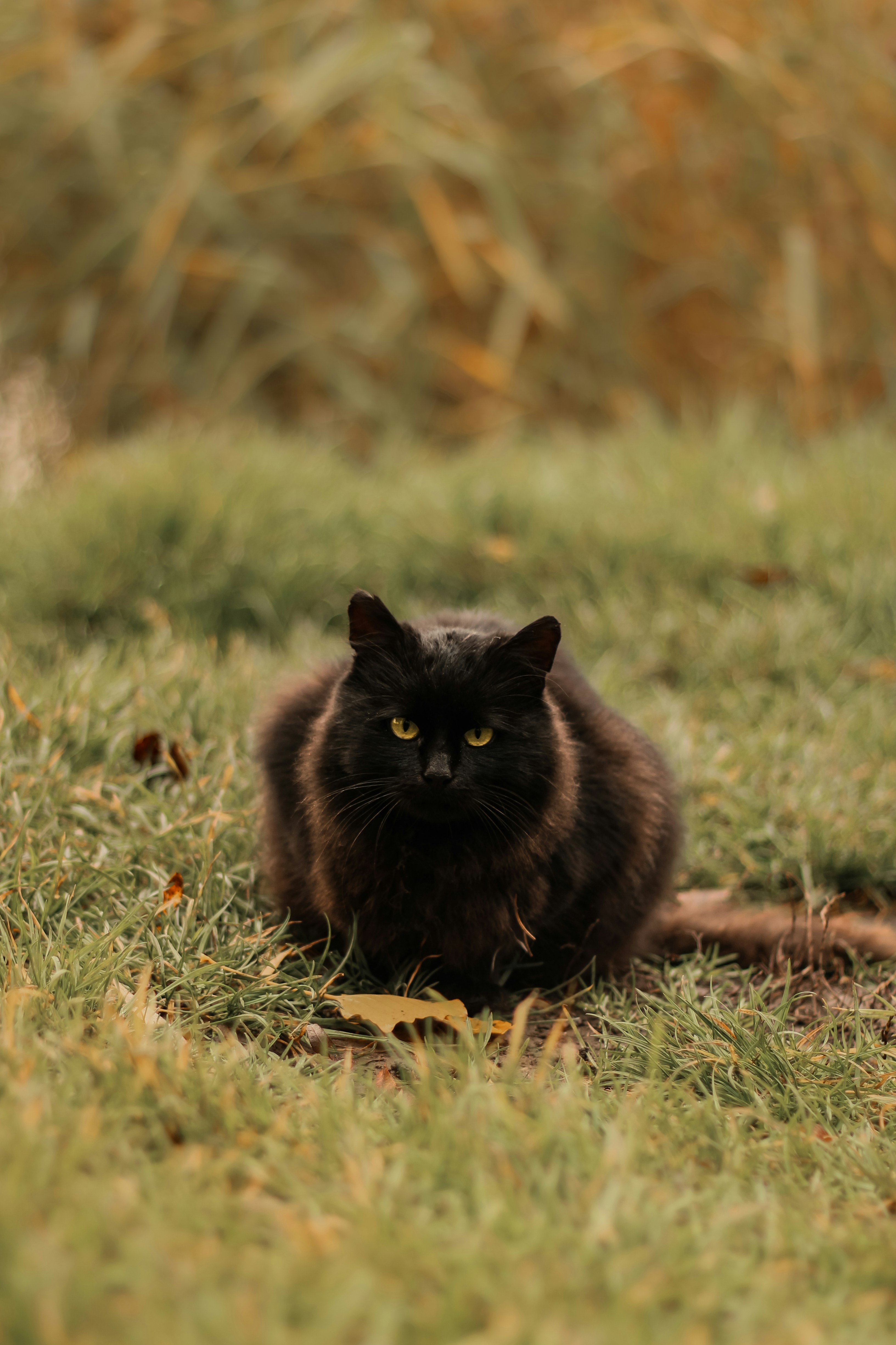 Photo by mineral_of_demon